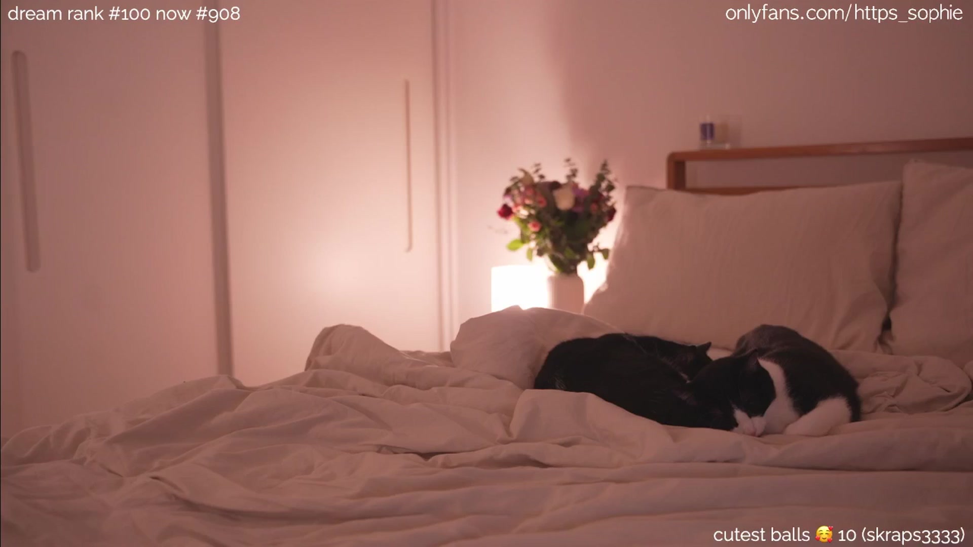 Gallery image thumbnail from camguurl's myfreecams stream on, 09/14/2024, 23:33 image 15 of 20