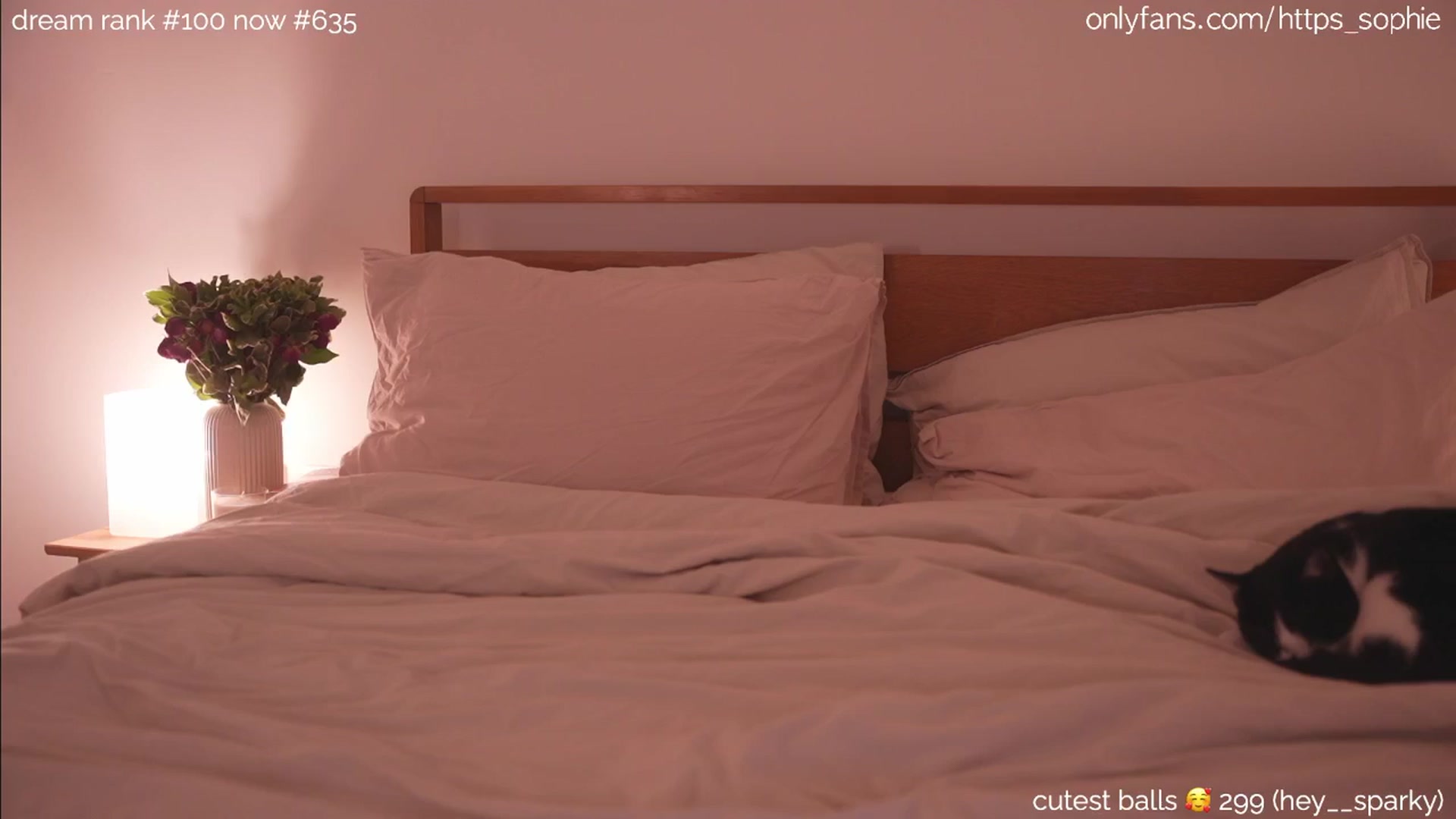 Gallery image thumbnail from camguurl's myfreecams stream on, 09/30/2024, 01:15 image 4 of 20