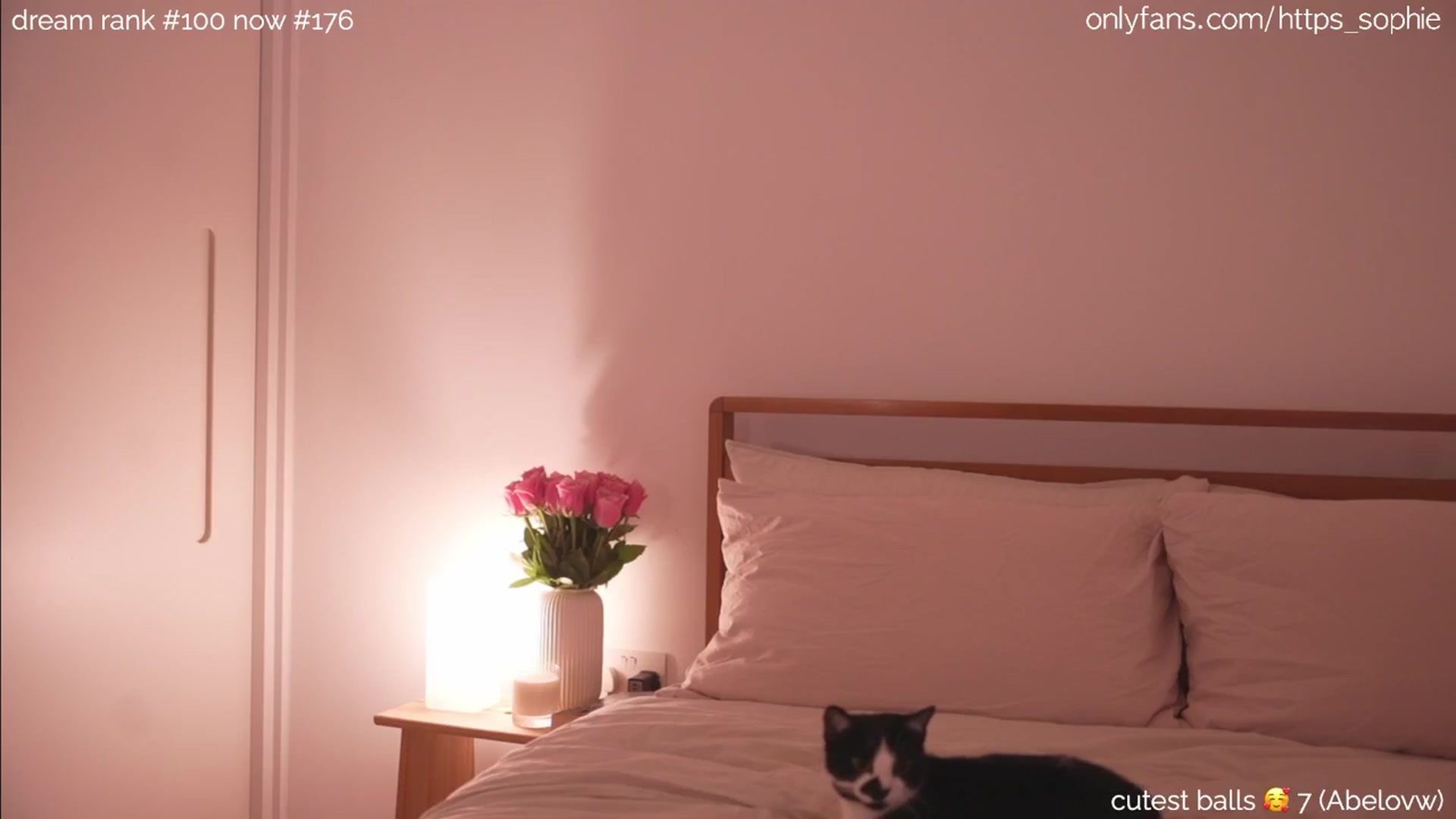 Gallery image thumbnail from camguurl's myfreecams stream on, 10/02/2024, 22:58 image 20 of 20