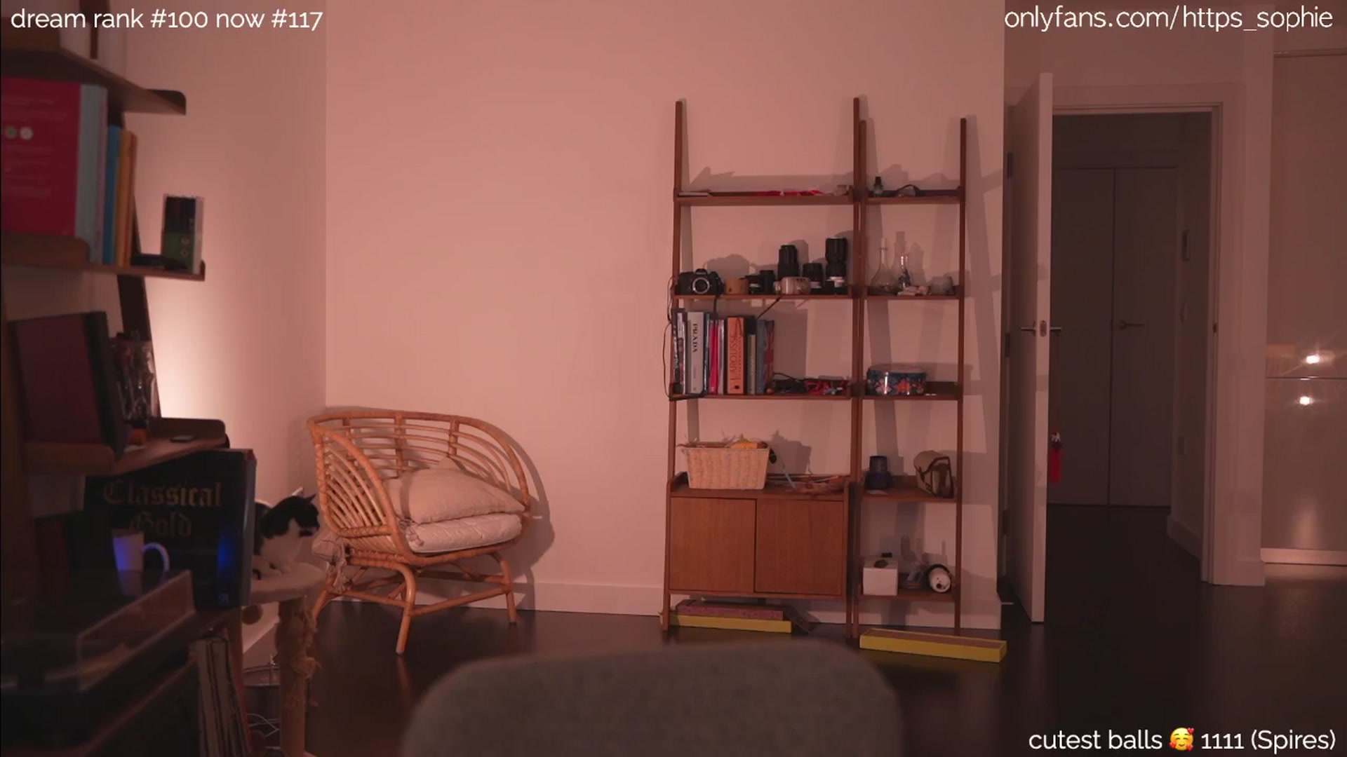 Gallery image thumbnail from camguurl's myfreecams stream on, 10/06/2024, 24:04 image 9 of 20