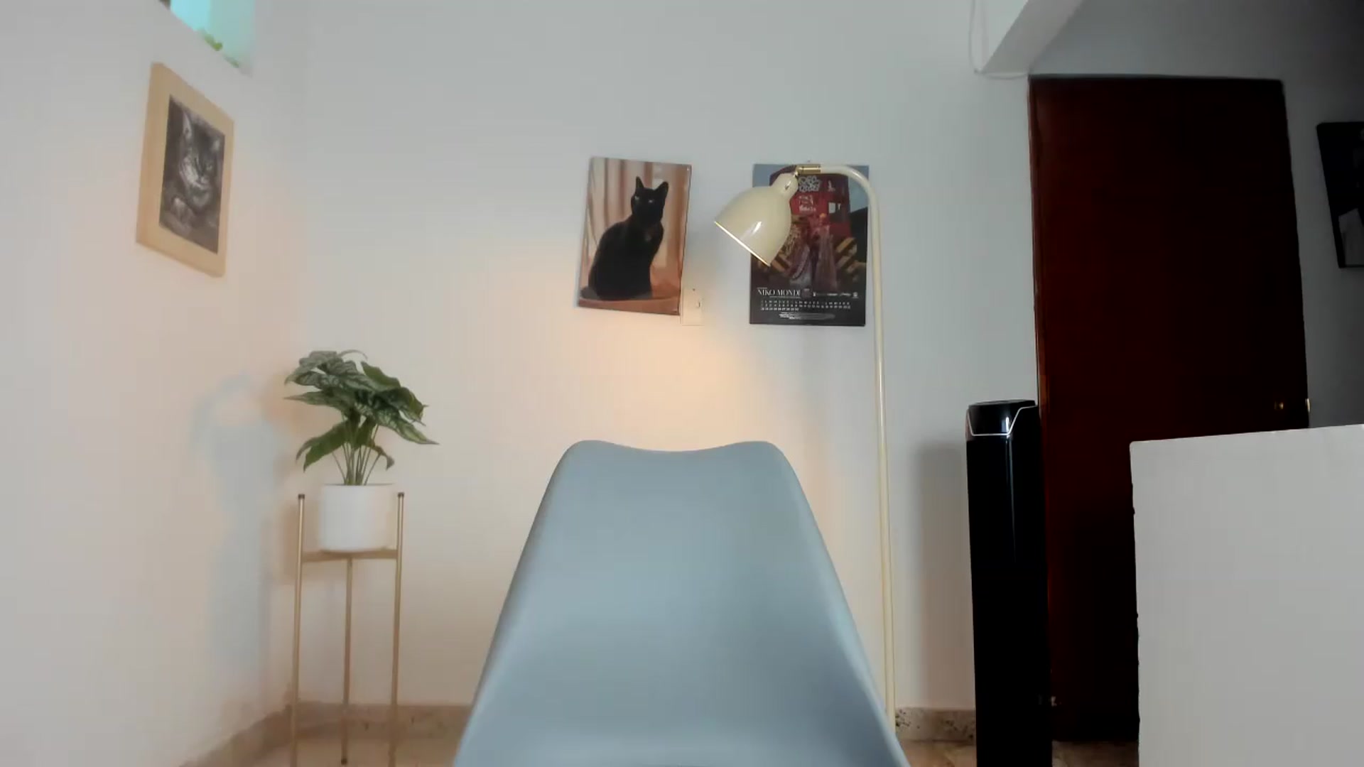 Gallery image thumbnail from carolinewildd's myfreecams stream on, 08/13/2026, 24:44 image 6 of 20