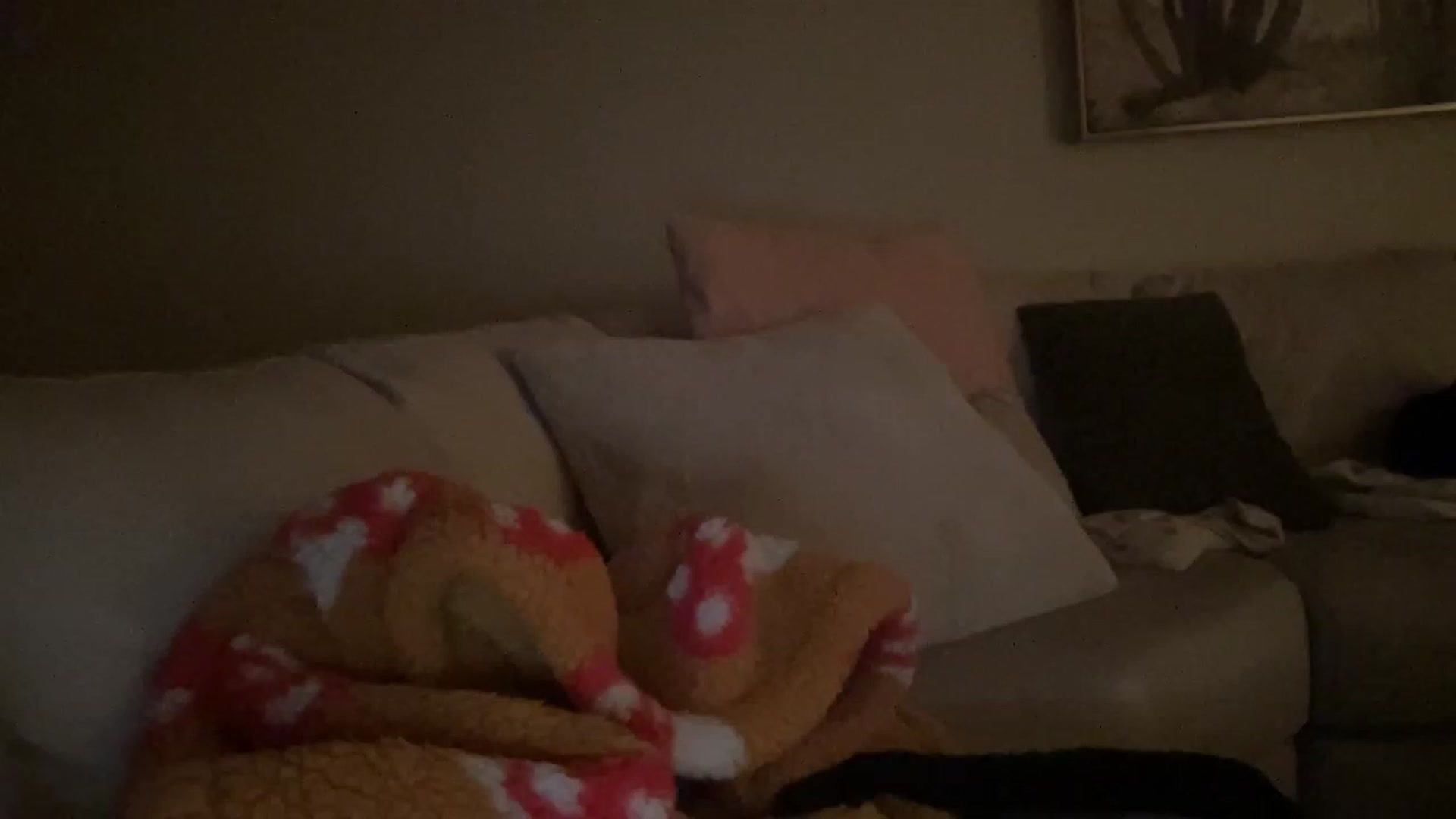 Gallery image thumbnail from casskitten's myfreecams stream on, 12/15/2022, 24:14 image 1 of 20