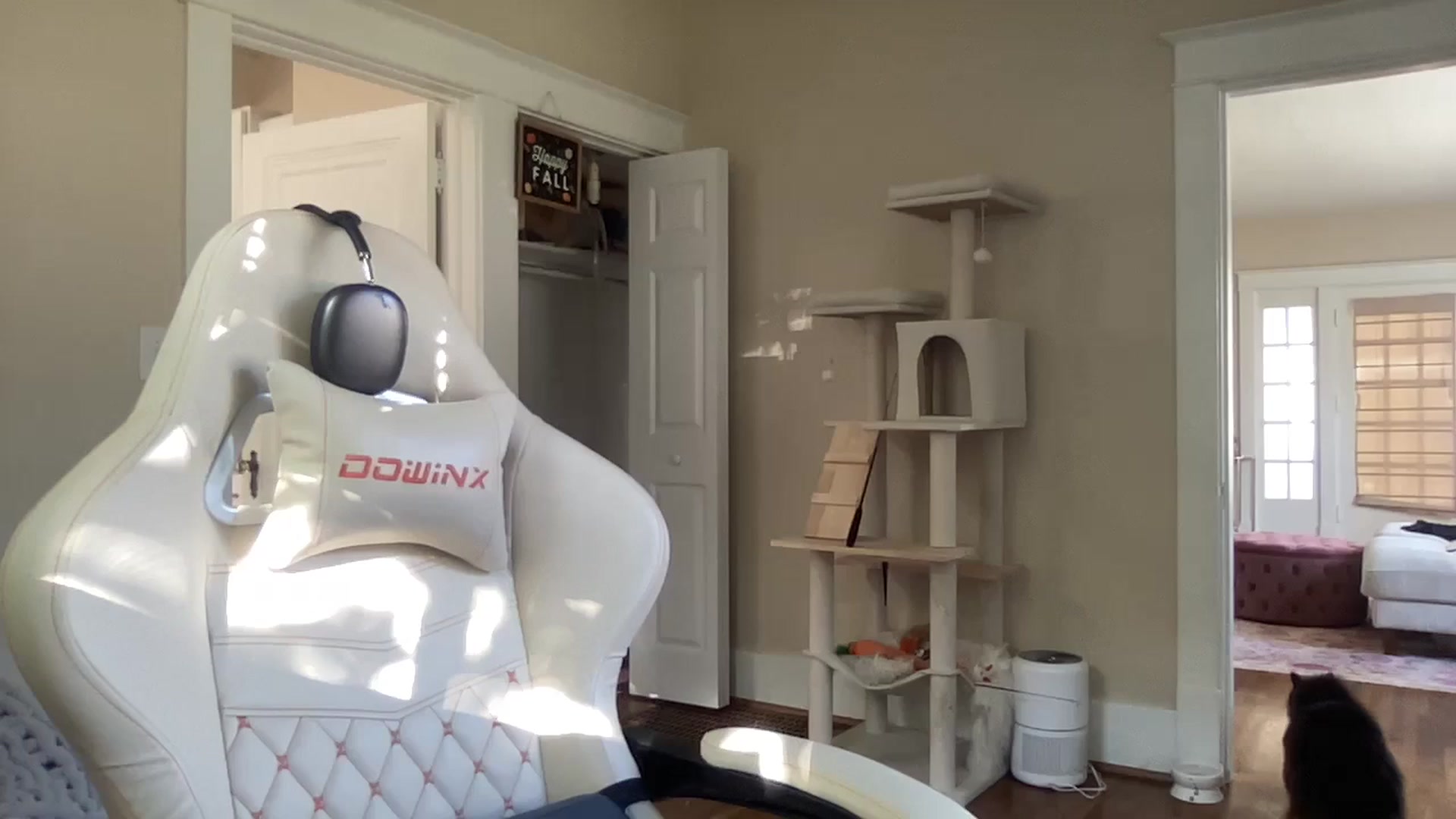 Gallery image thumbnail from casskitten's myfreecams stream on, 10/14/2025, 21:03 image 14 of 20