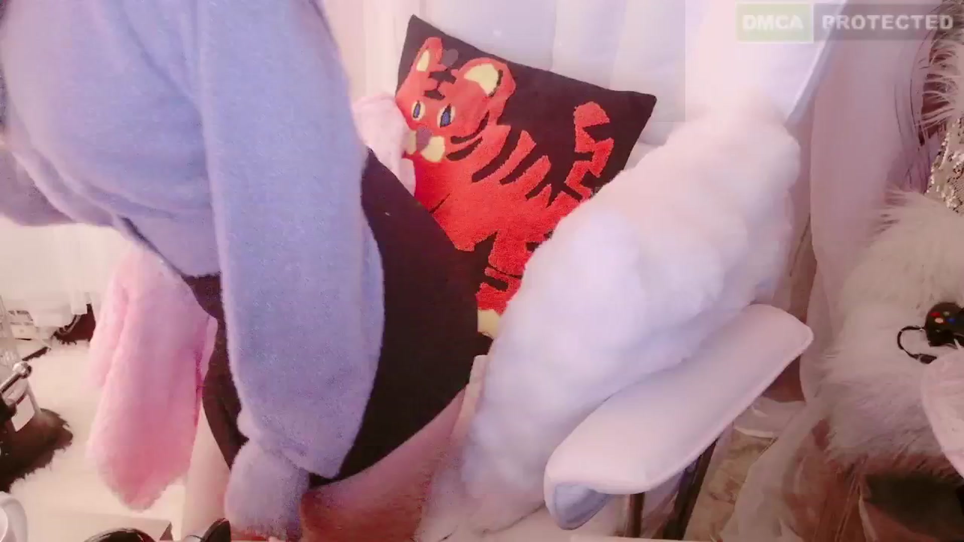 Gallery image thumbnail from cat____'s myfreecams stream on, 01/25/2025, 08:24 image 13 of 20