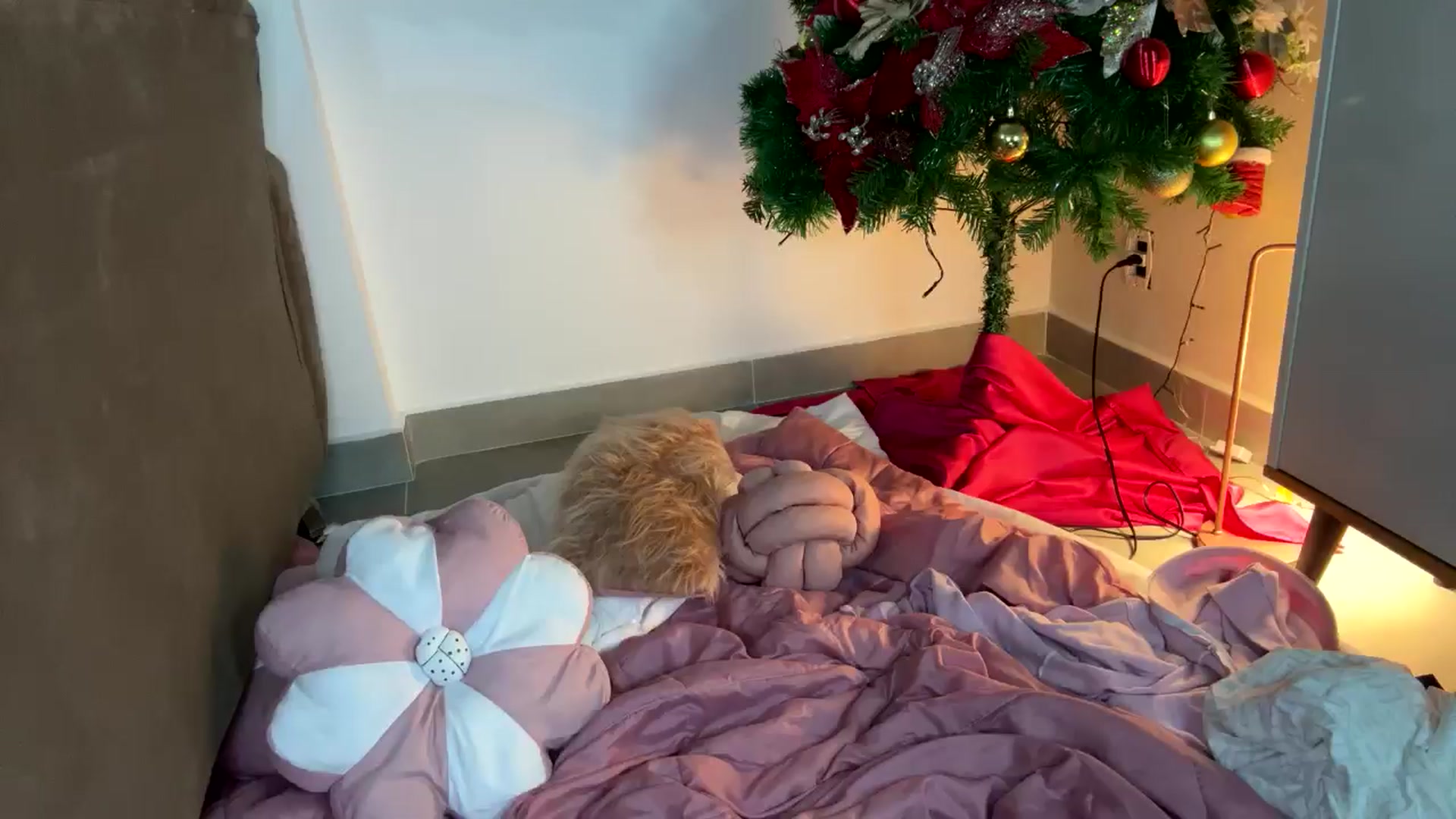Gallery image thumbnail from cateyes1's myfreecams stream on, 01/28/2025, 03:48 image 17 of 20