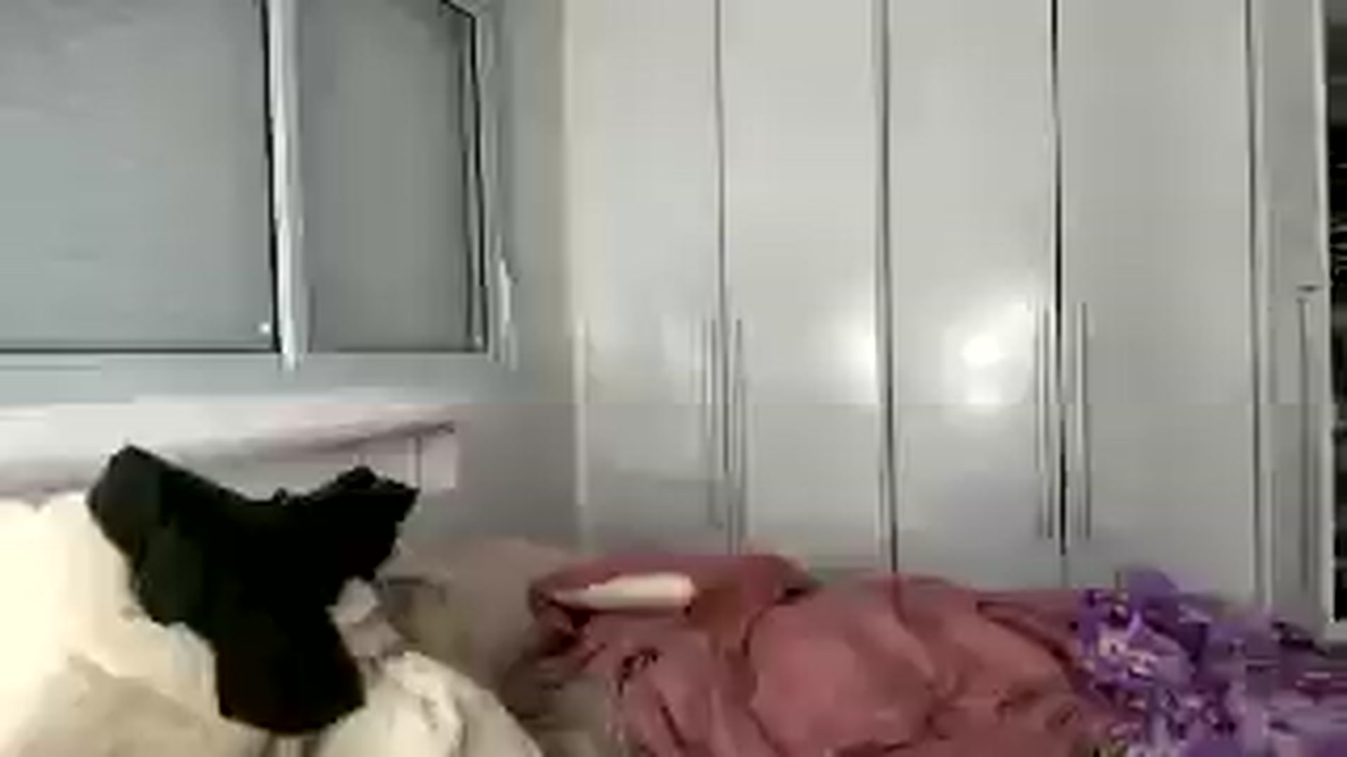 Gallery image thumbnail from cateyes1's myfreecams stream on, 08/16/2025, 02:07 image 19 of 20