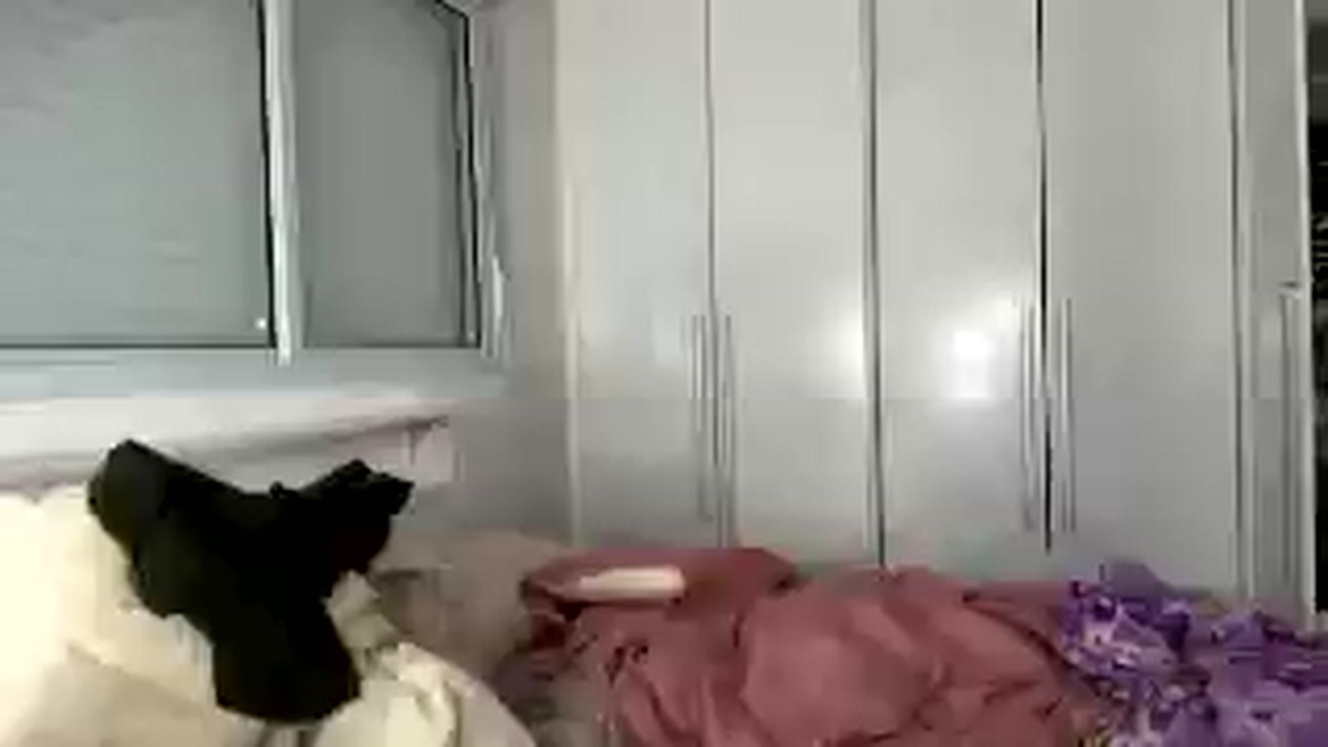 Gallery image thumbnail from cateyes1's myfreecams stream on, 08/16/2025, 02:07 image 18 of 20