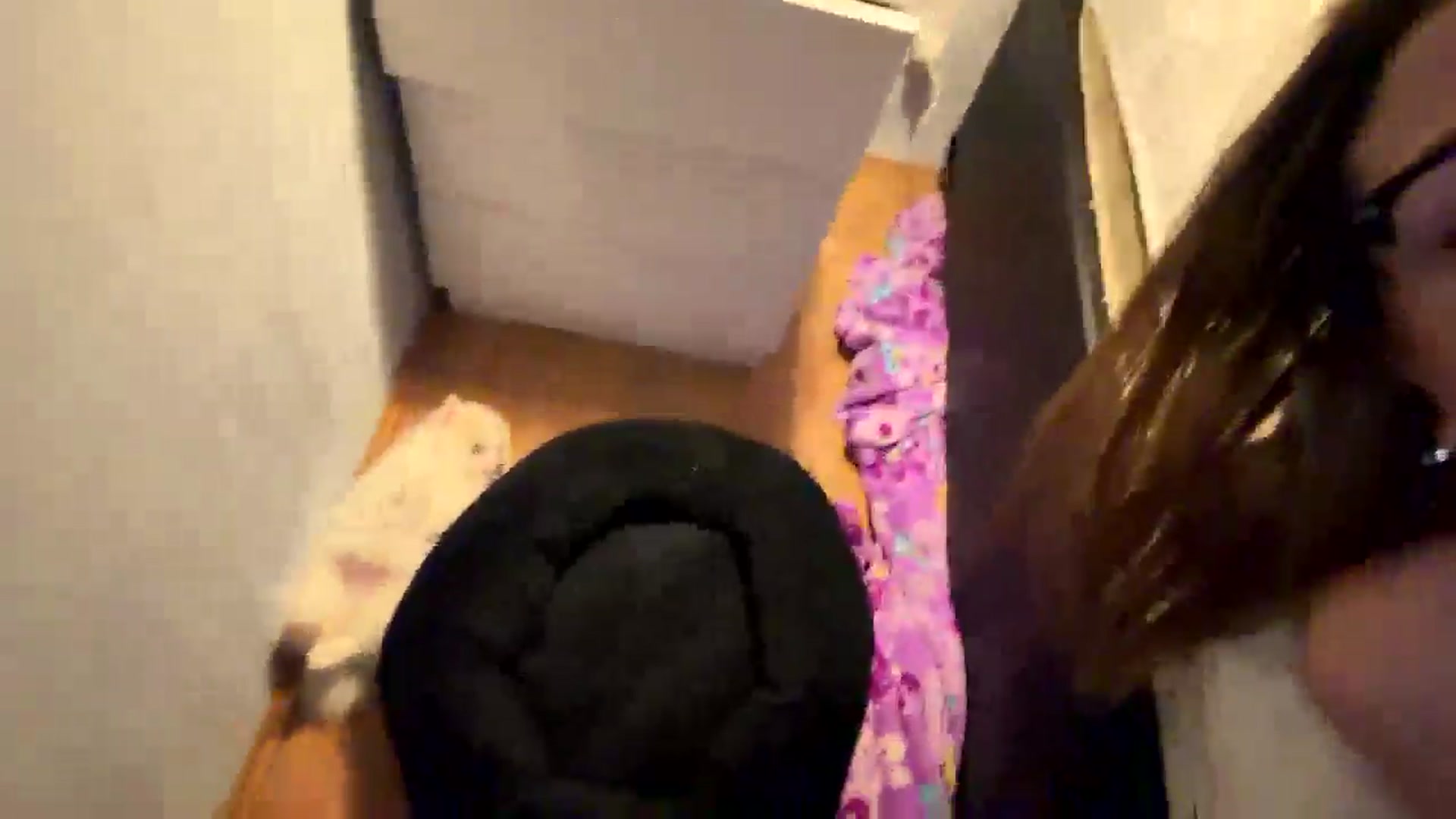 Gallery image thumbnail from cateyes1's myfreecams stream on, 05/09/2026, 22:28 image 14 of 20