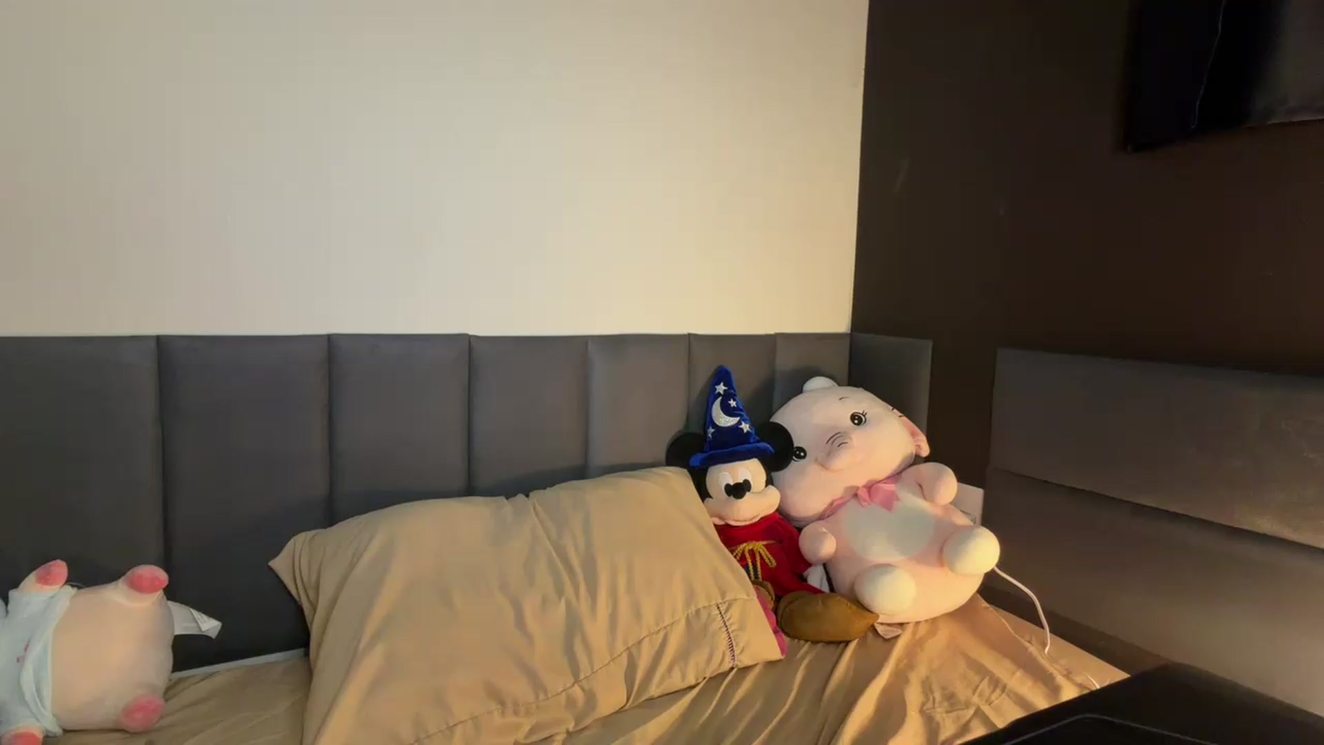 Gallery image thumbnail from cateyes1's myfreecams stream on, 05/31/2026, 05:43 image 16 of 20