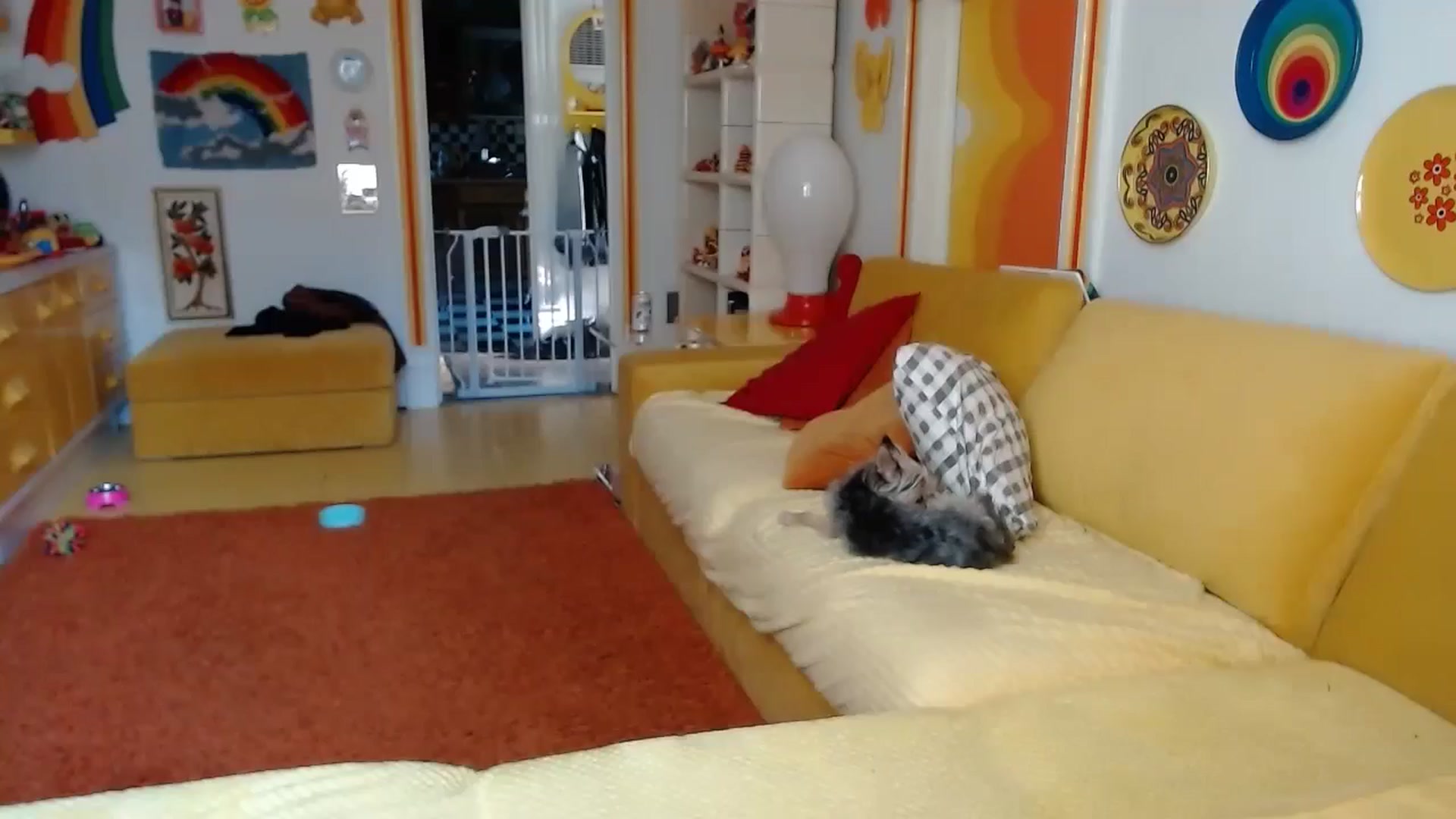 Gallery image thumbnail from caulkgobbler's myfreecams stream on, 07/09/2024, 01:57 image 12 of 20