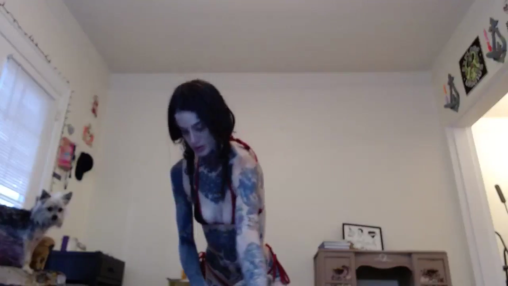 Gallery image thumbnail from caulkgobbler's myfreecams stream on, 06/11/2025, 02:55 image 2 of 20