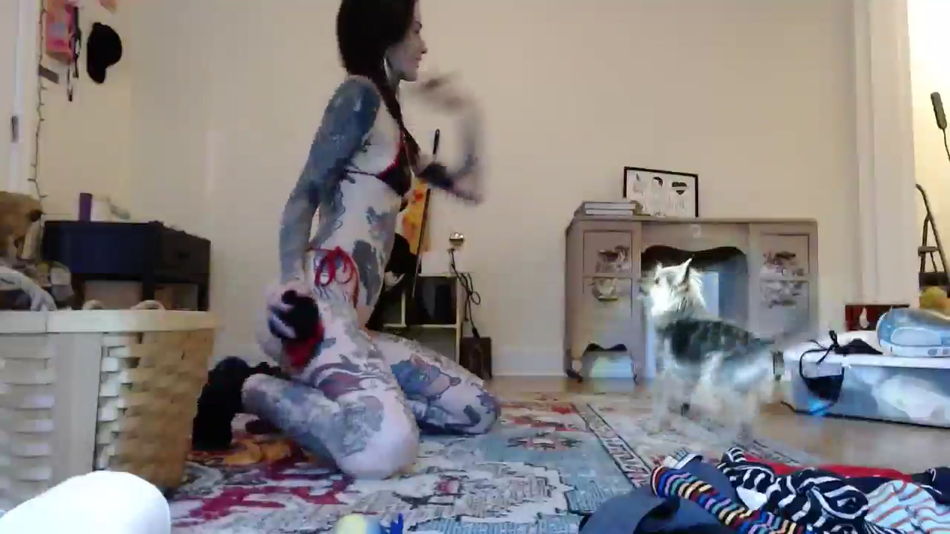 Gallery image thumbnail from caulkgobbler's myfreecams stream on, 06/11/2025, 02:55 image 6 of 20