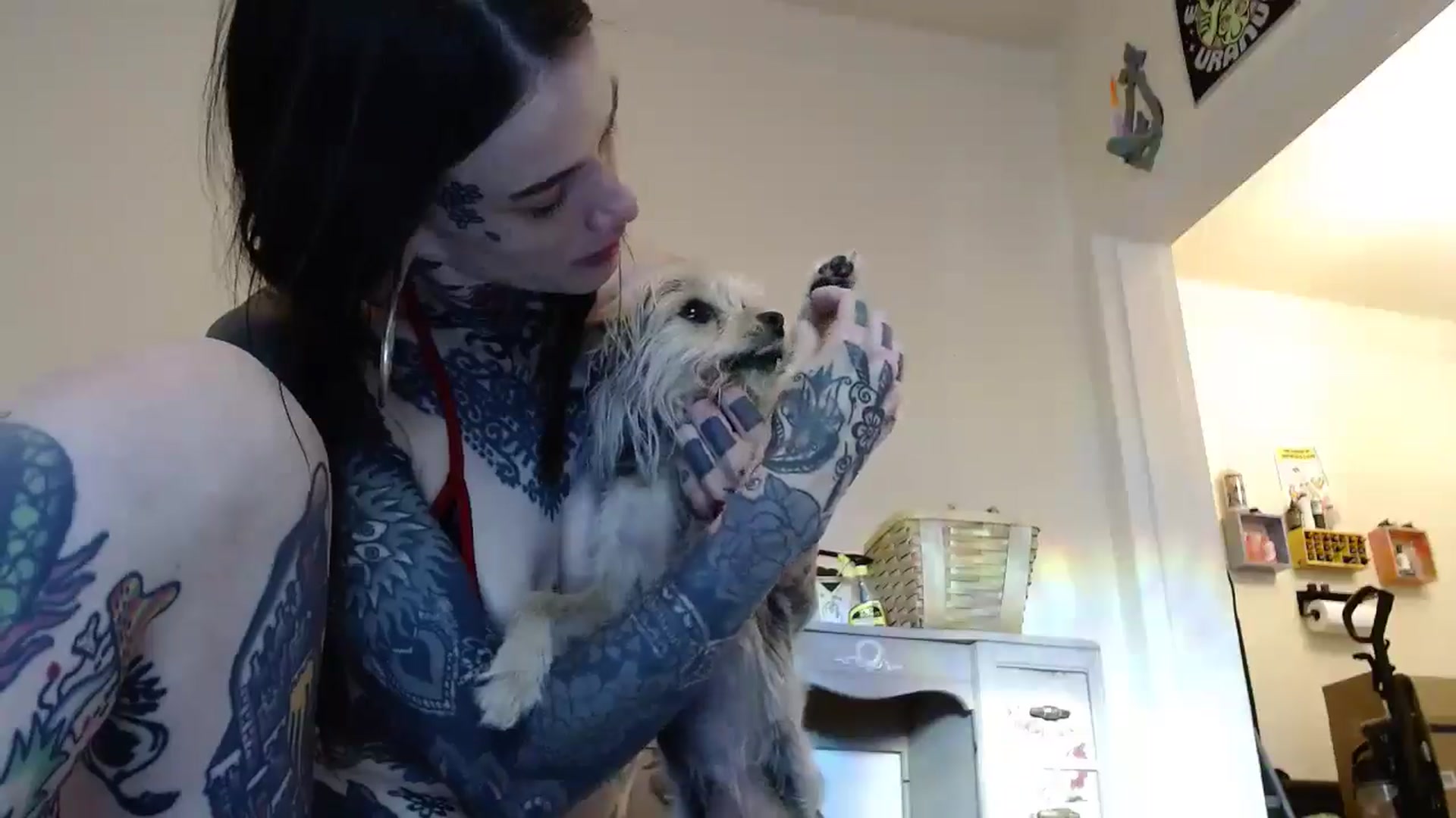 Gallery image thumbnail from caulkgobbler's myfreecams stream on, 06/11/2025, 02:55 image 13 of 20