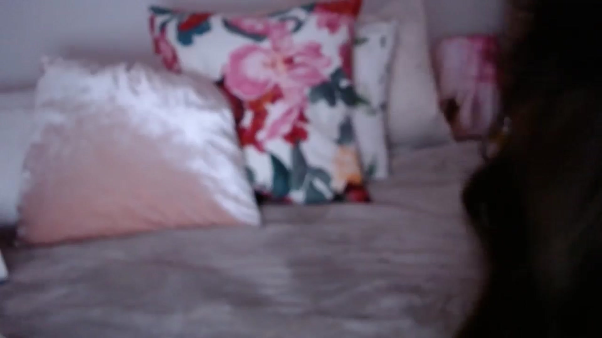 Gallery image thumbnail from cheetah_'s myfreecams stream on, 02/14/2025, 15:38 image 8 of 20