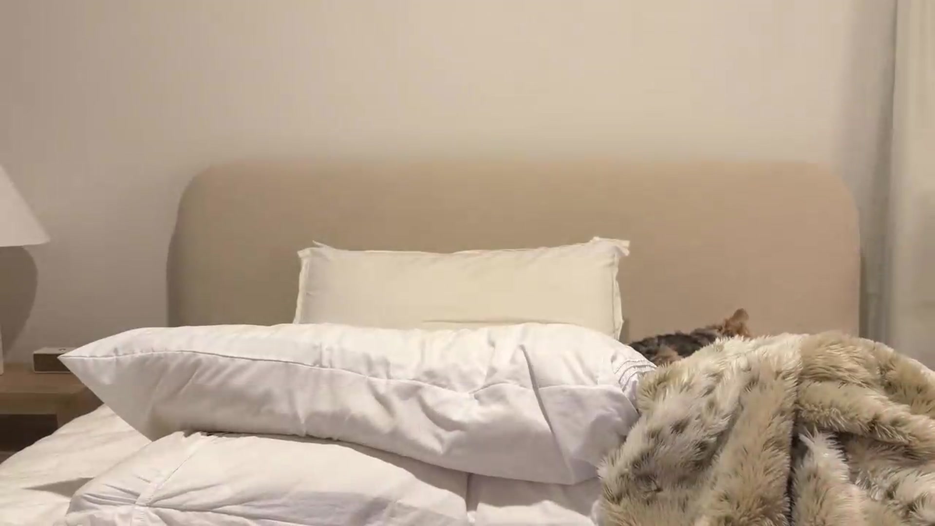 Gallery image thumbnail from cherrysoda's myfreecams stream on, 06/06/2026, 03:44 image 20 of 20