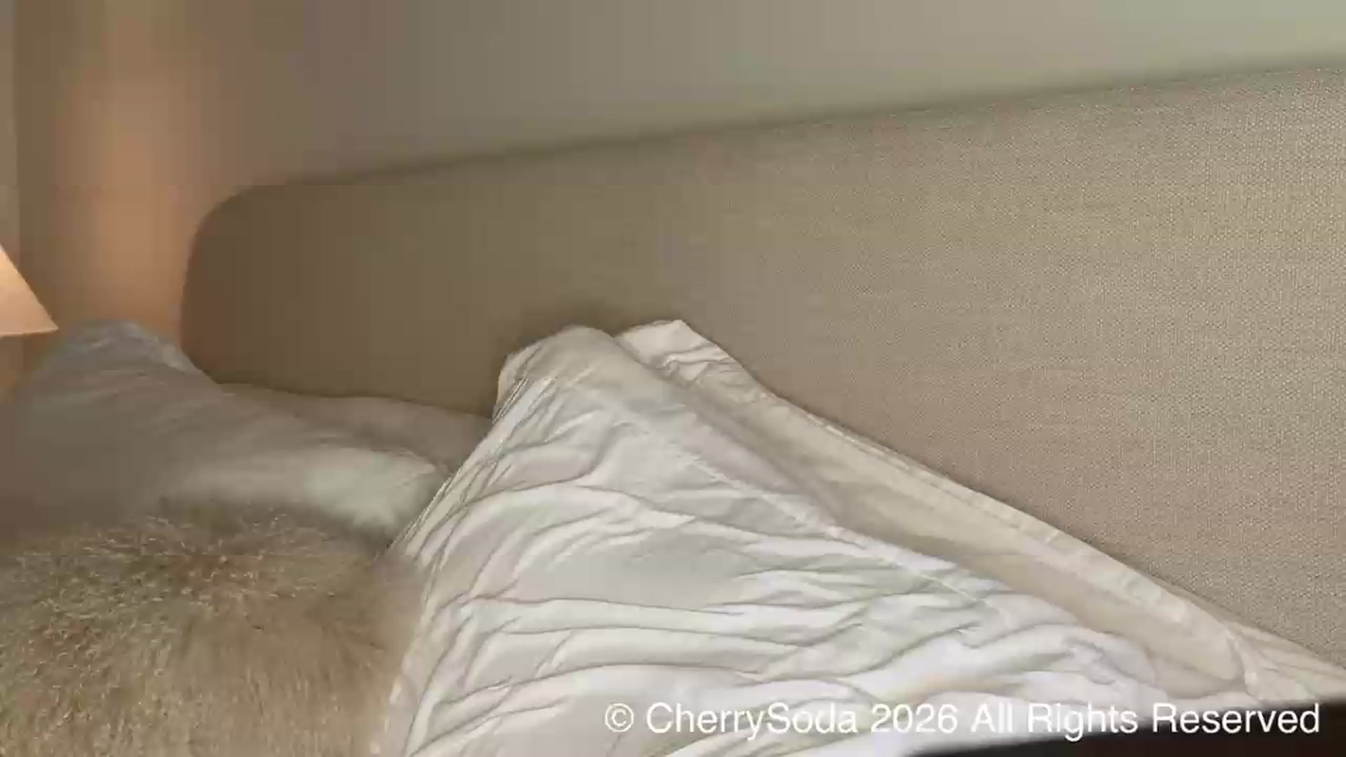 Gallery image thumbnail from cherrysoda's myfreecams stream on, 07/31/2026, 04:36 image 14 of 20