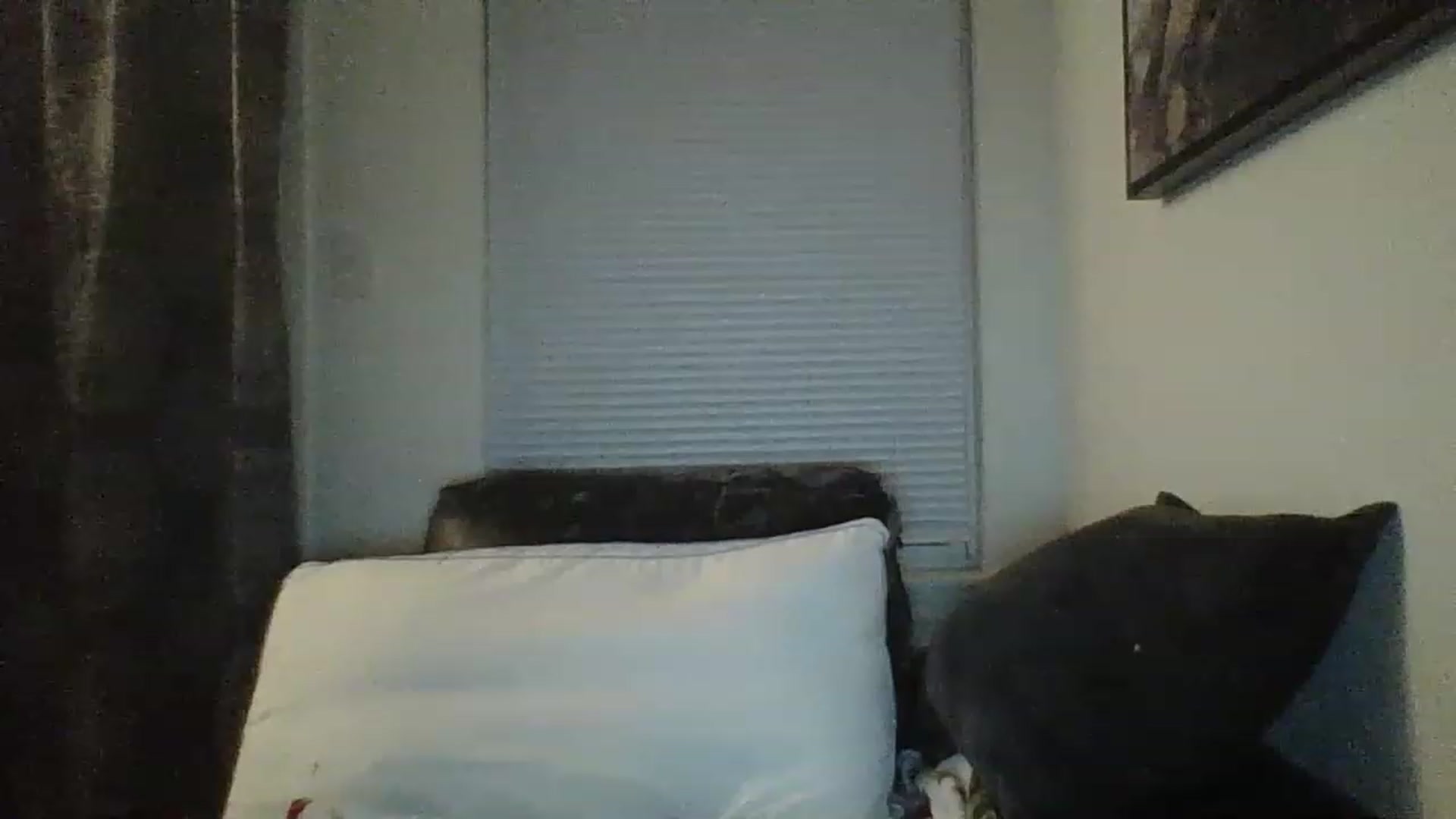 Gallery image thumbnail from chloe1998's myfreecams stream on, 02/06/2023, 08:10 image 14 of 20