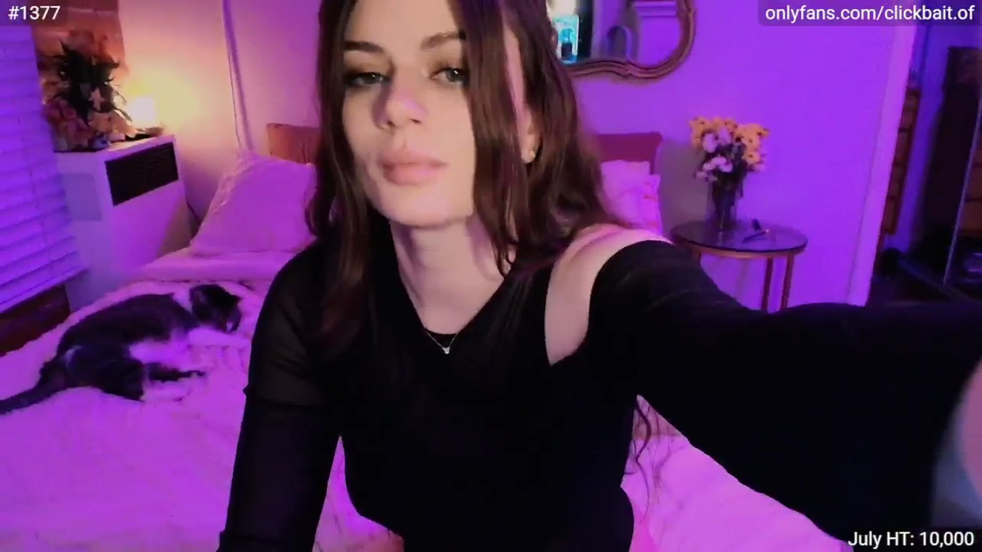 Gallery image thumbnail from clickbait_'s myfreecams stream on, 07/19/2025, 07:45 image 12 of 20