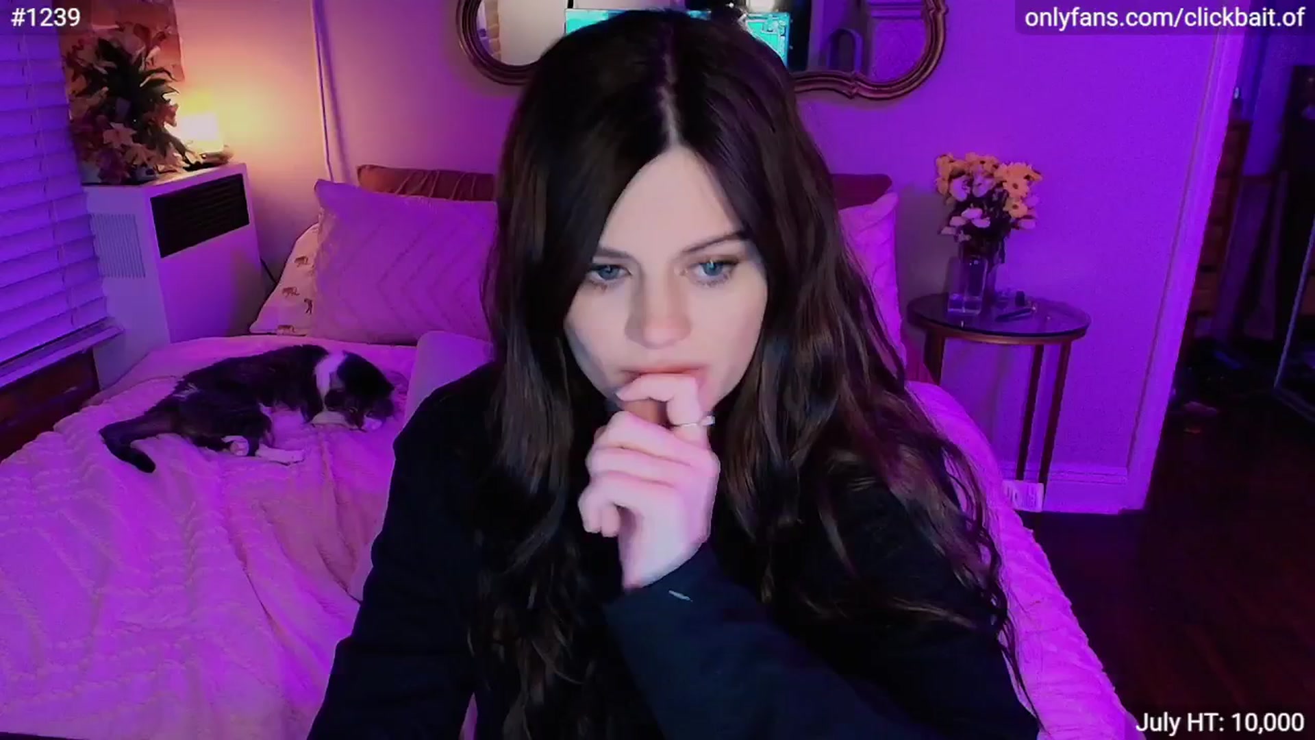Gallery image thumbnail from clickbait_'s myfreecams stream on, 07/20/2025, 08:37 image 10 of 20