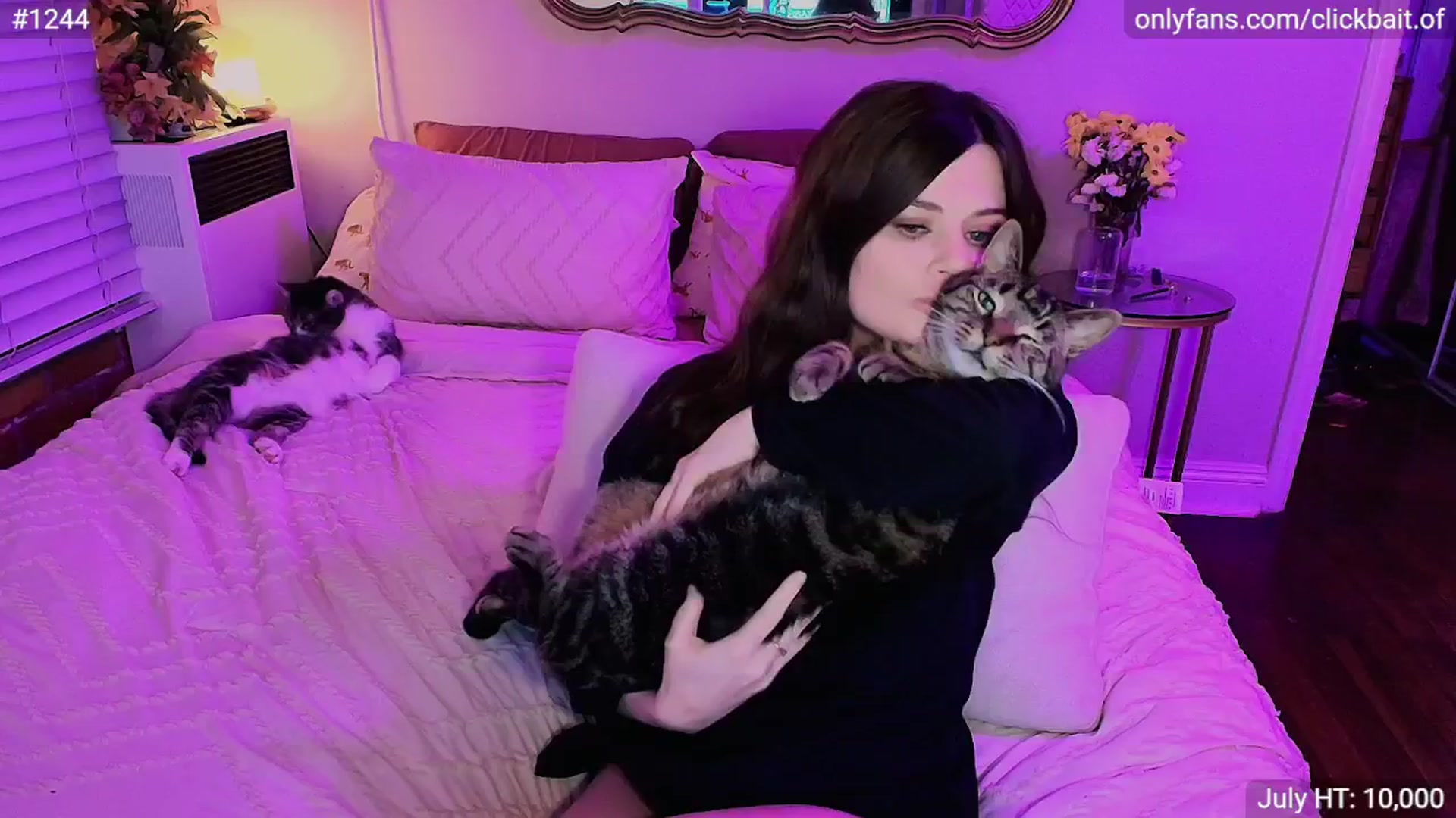 Gallery image thumbnail from clickbait_'s myfreecams stream on, 07/20/2025, 08:37 image 7 of 20
