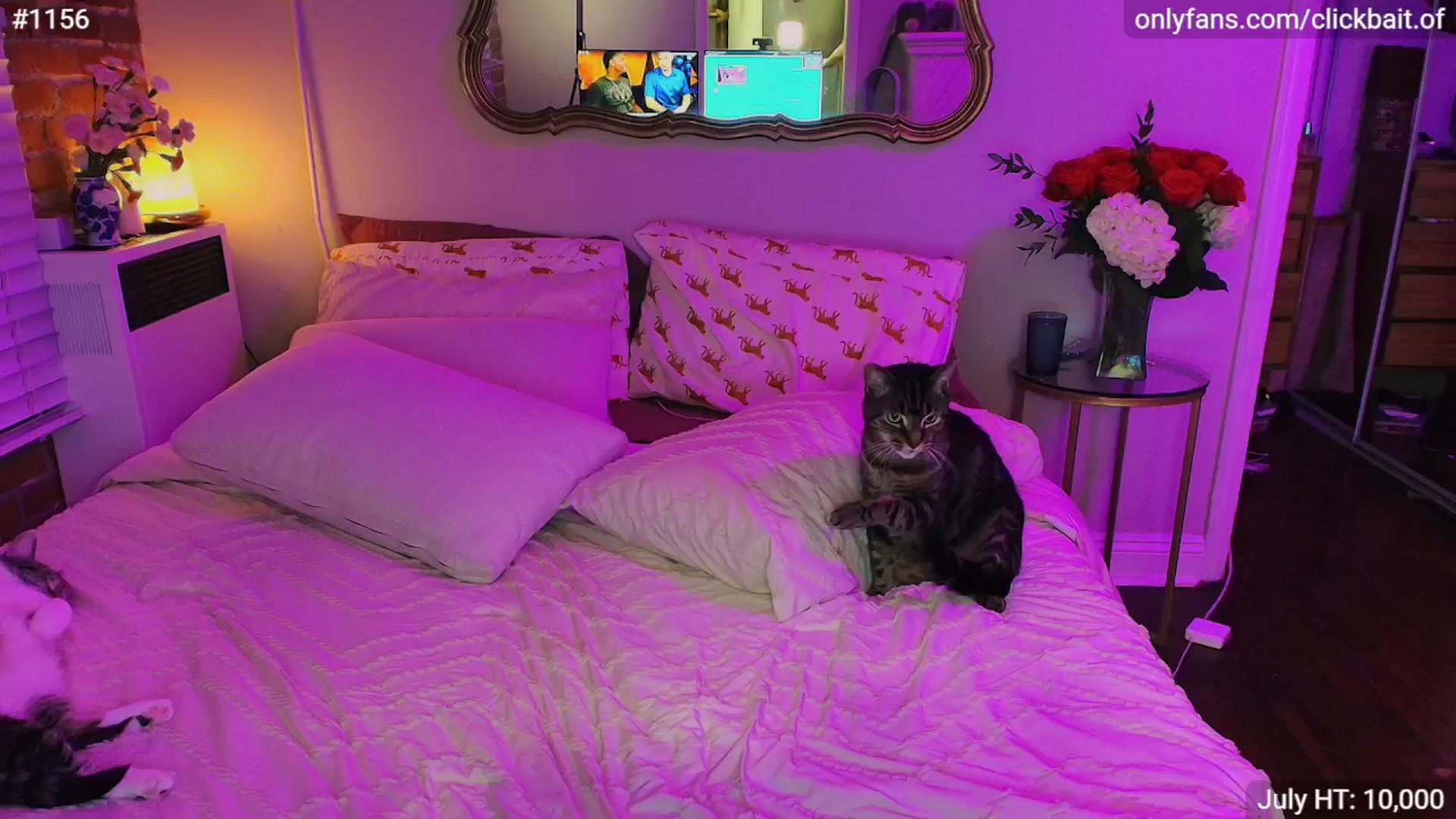 Gallery image thumbnail from clickbait_'s myfreecams stream on, 07/28/2025, 08:34 image 6 of 20