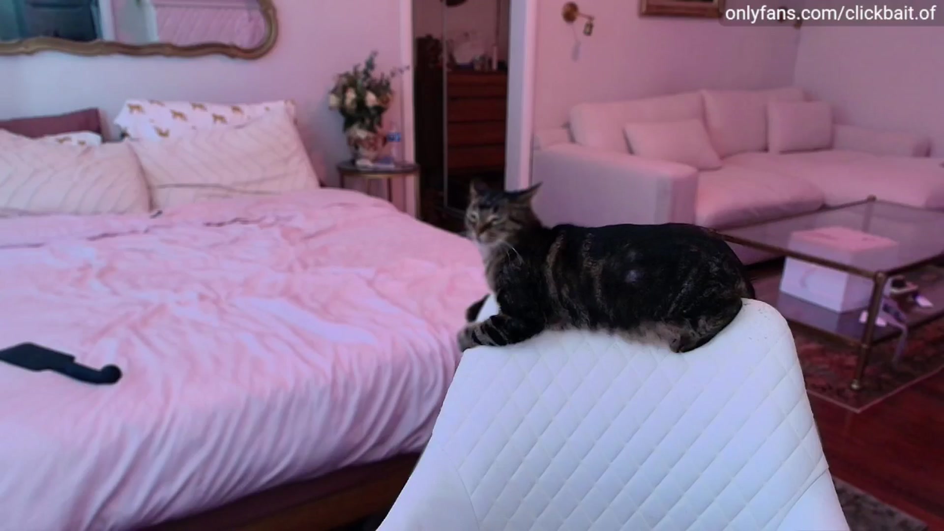 Gallery image thumbnail from clickbait_'s myfreecams stream on, 11/23/2025, 16:00 image 12 of 20