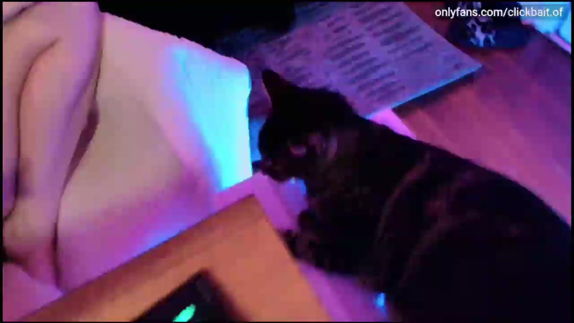 Gallery image thumbnail from clickbait_'s myfreecams stream on, 08/05/2026, 08:32 image 14 of 20