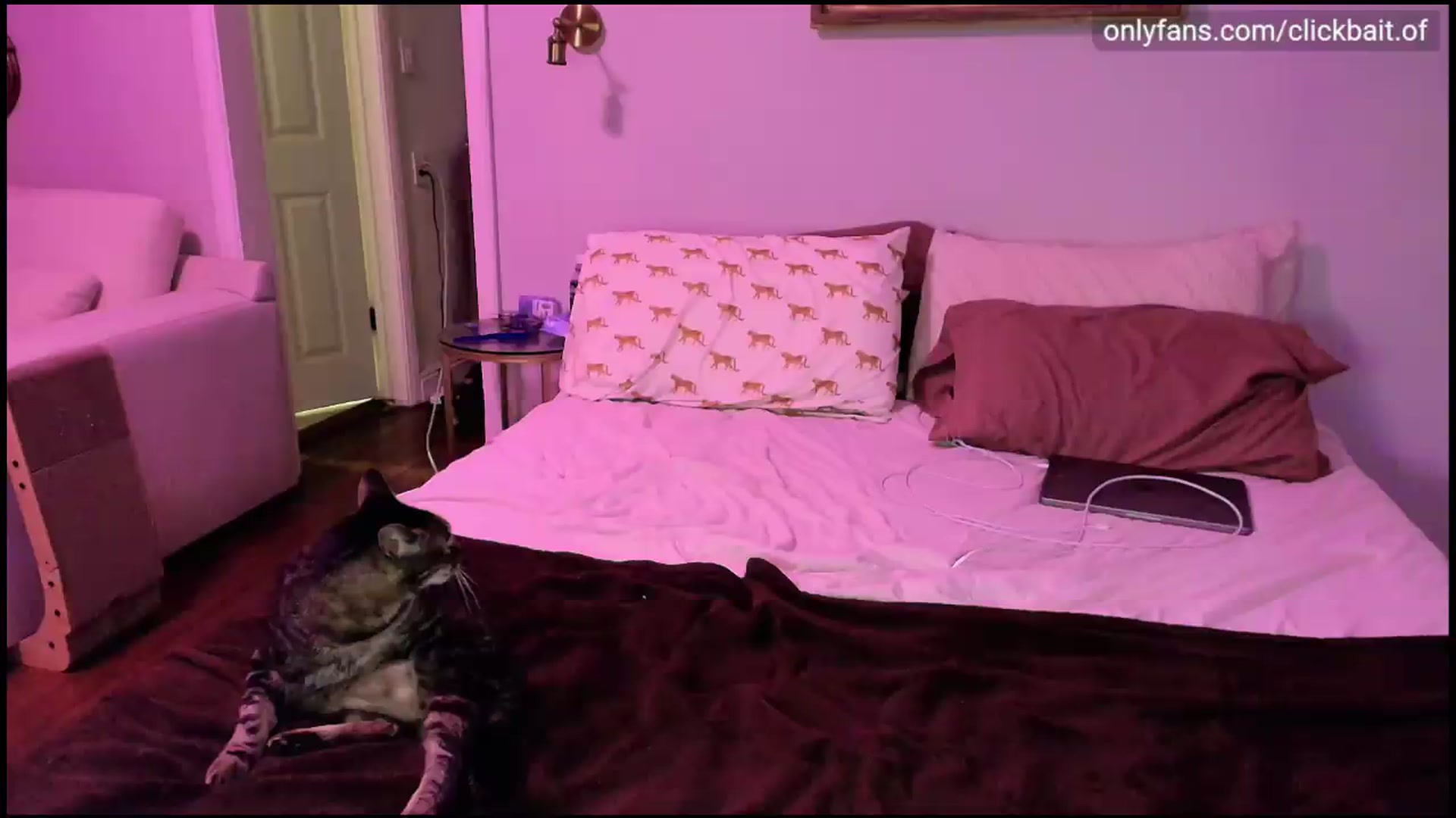Gallery image thumbnail from clickbait_'s myfreecams stream on, 08/08/2026, 10:52 image 9 of 20