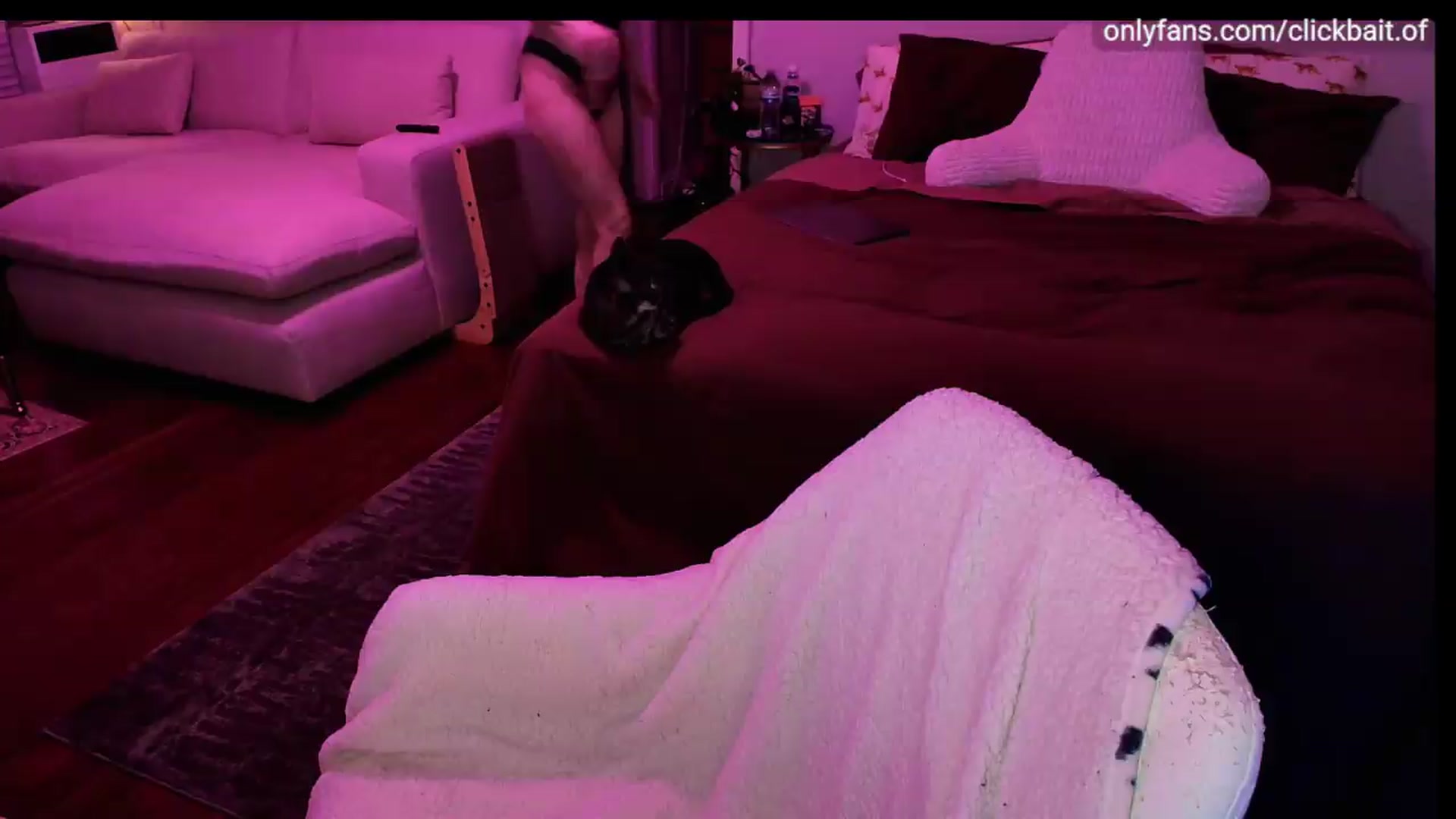 Gallery image thumbnail from clickbait_'s myfreecams stream on, 08/28/2026, 04:47 image 3 of 20