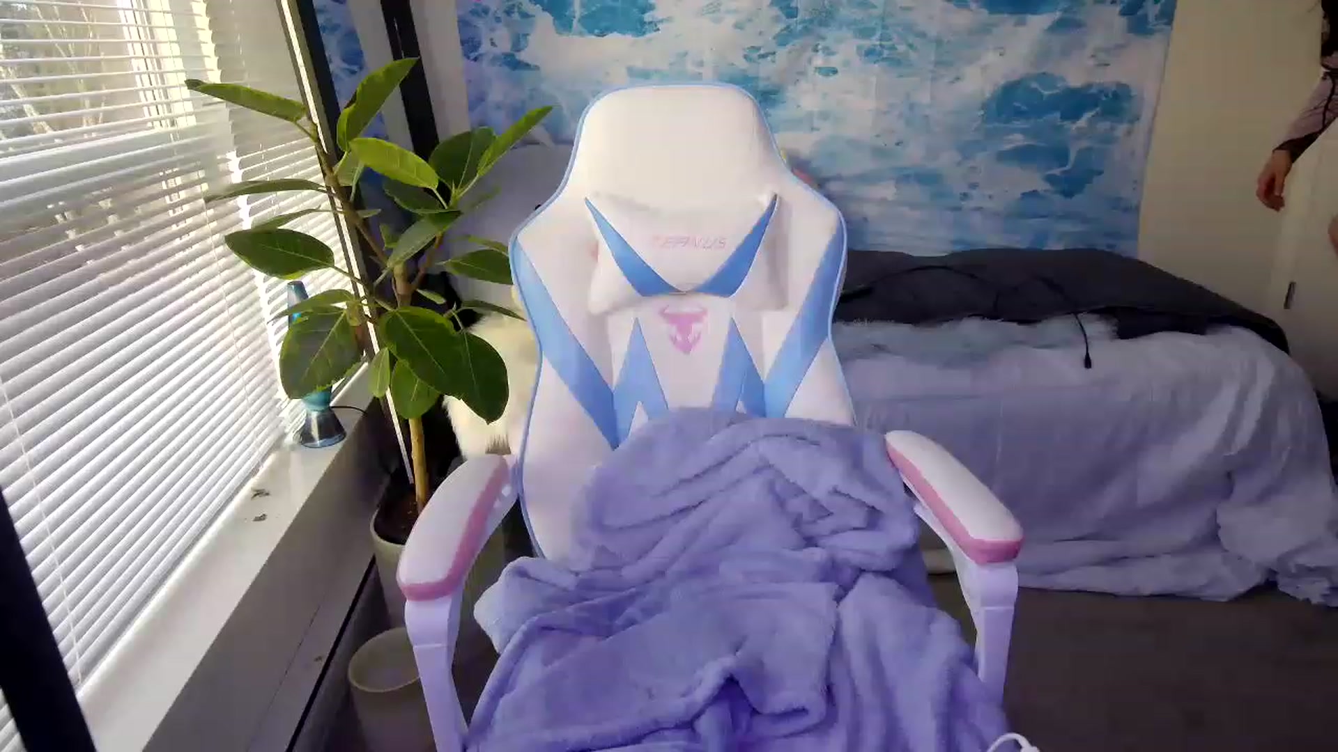 Gallery image thumbnail from cloverslucky's myfreecams stream on, 03/24/2023, 02:17 image 14 of 20