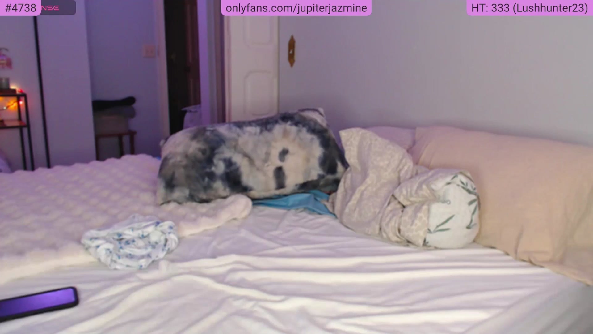 Gallery image thumbnail from coconutbunz's myfreecams stream on, 04/11/2026, 21:38 image 7 of 20