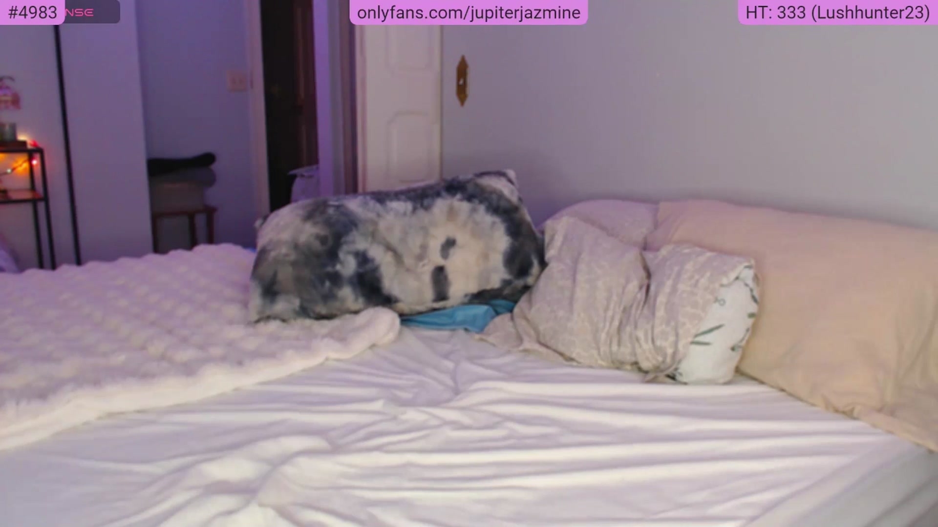 Gallery image thumbnail from coconutbunz's myfreecams stream on, 04/11/2026, 21:38 image 5 of 20