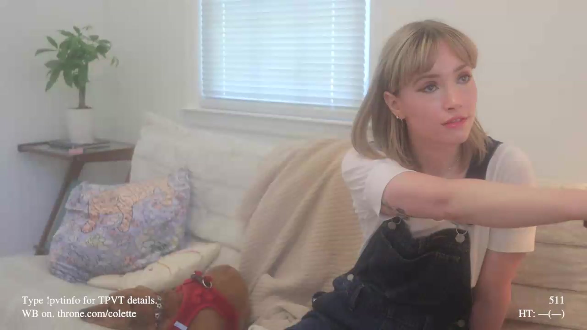 Gallery image thumbnail from colette's myfreecams stream on, 05/11/2026, 18:53 image 3 of 20