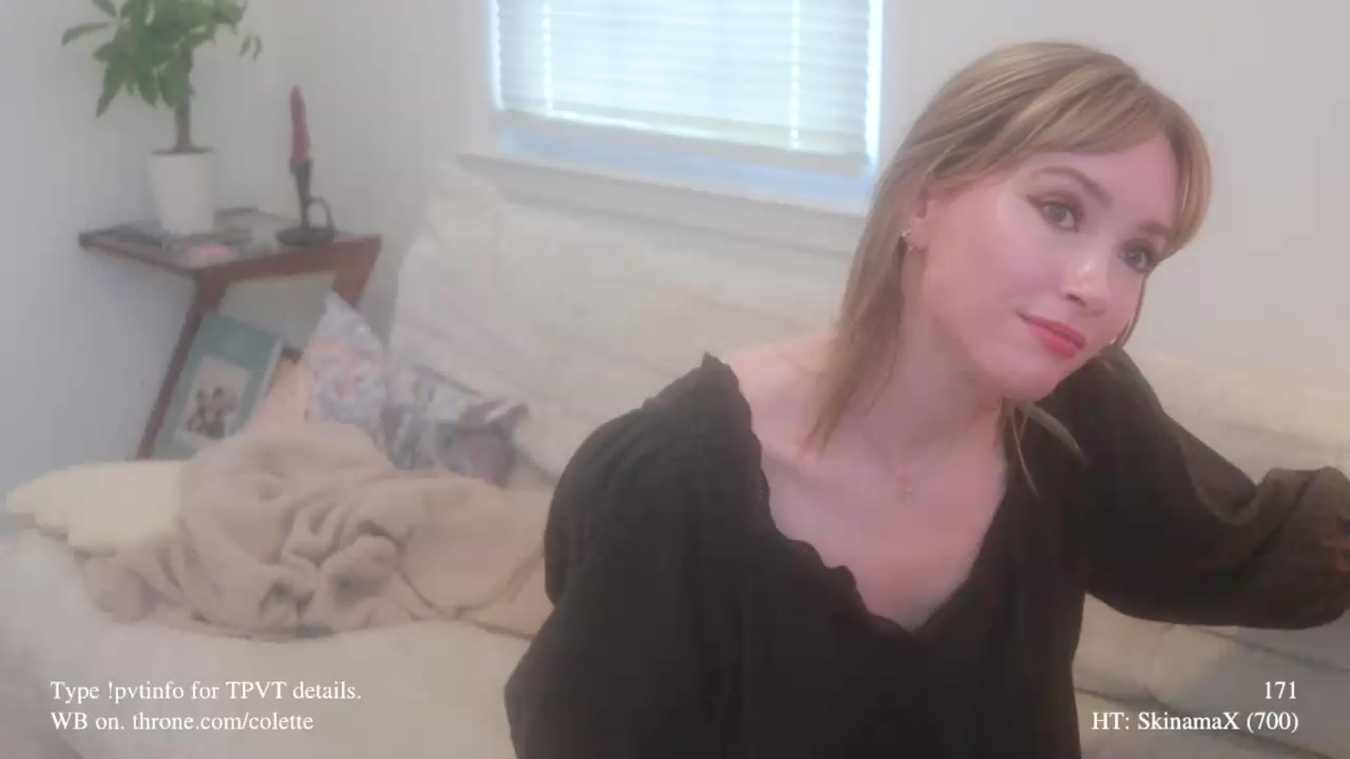 Gallery image thumbnail from colette's myfreecams stream on, 06/01/2026, 20:51 image 13 of 20