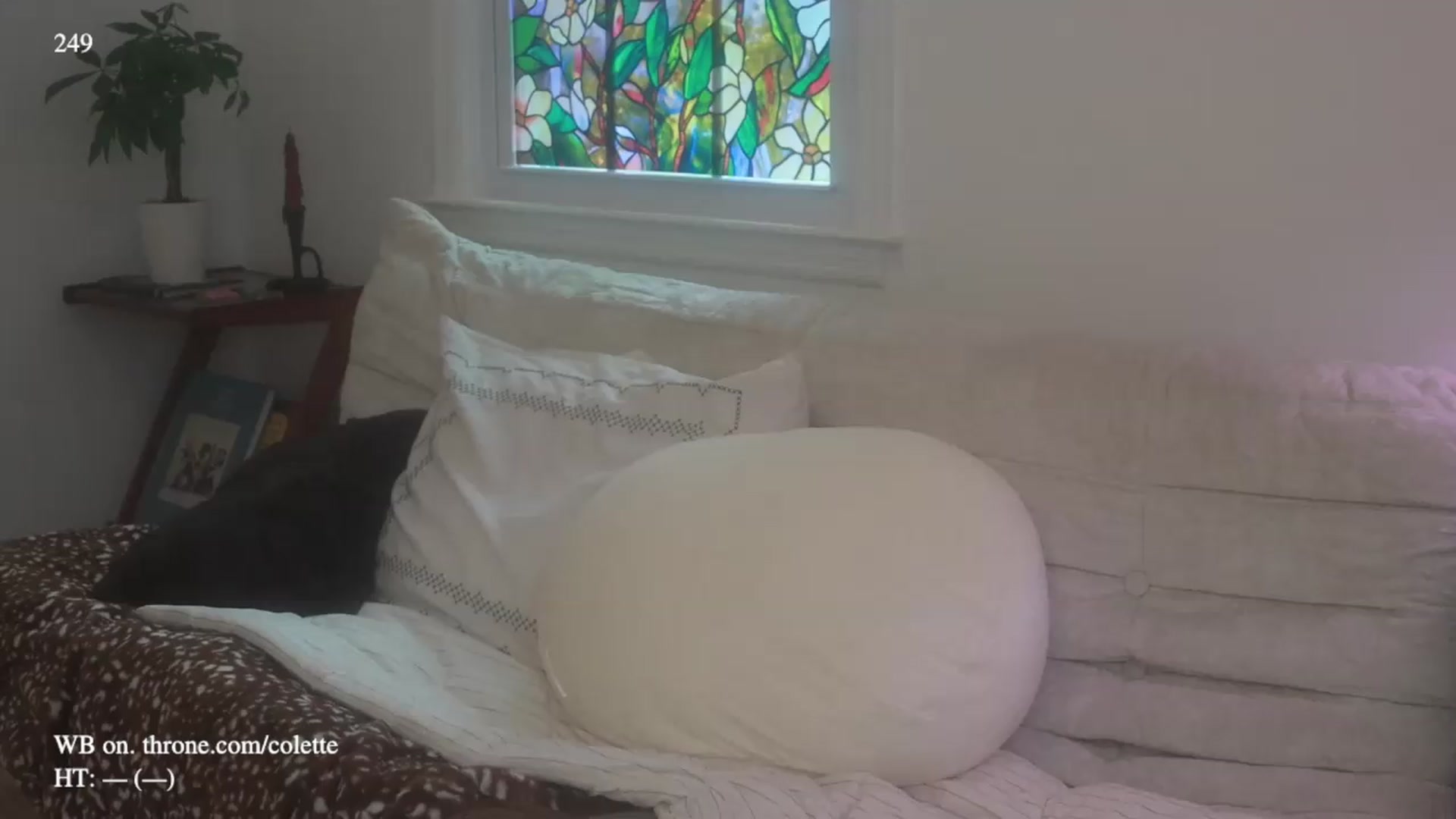Gallery image thumbnail from colette's myfreecams stream on, 07/22/2026, 20:27 image 1 of 20