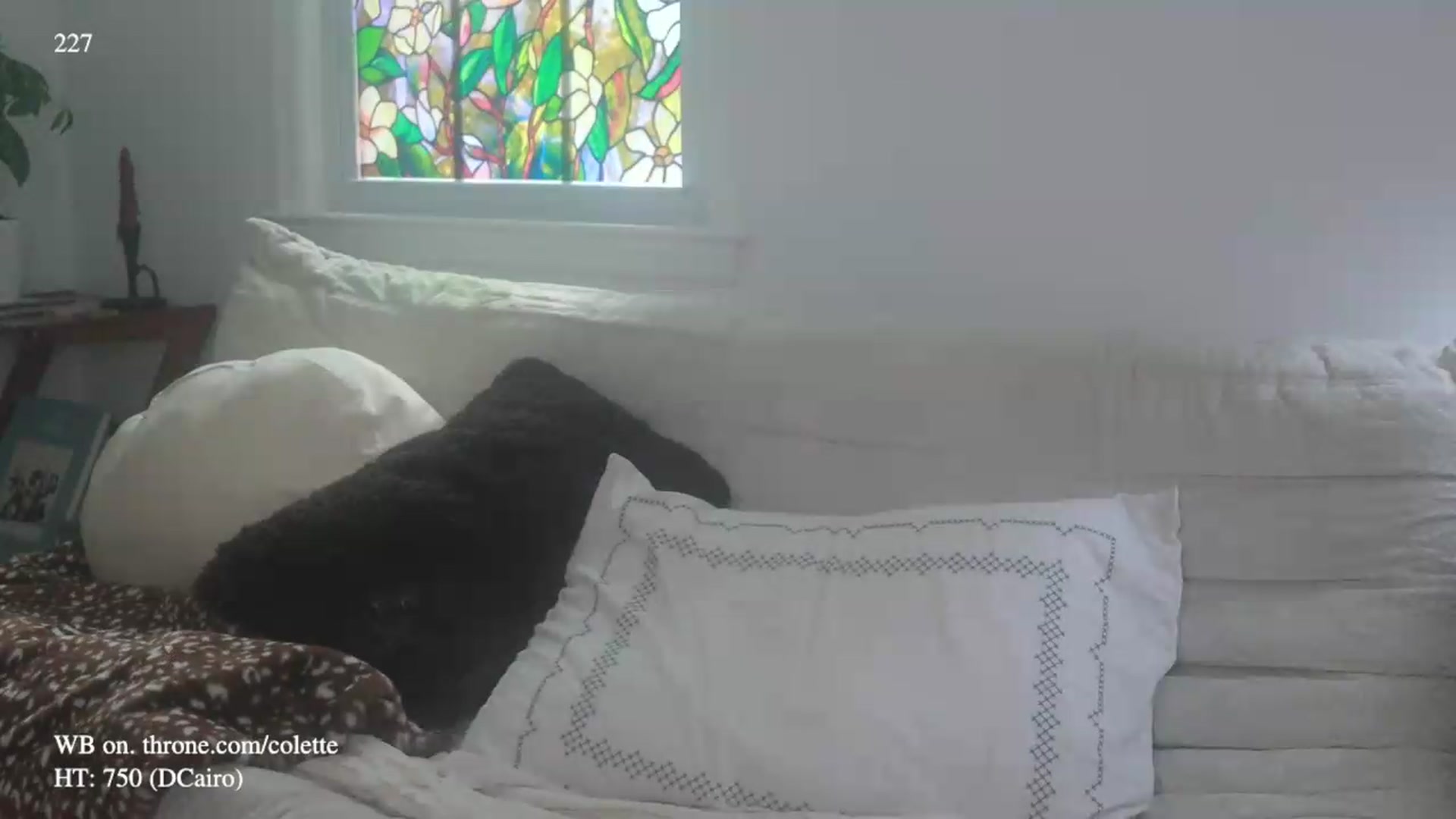 Gallery image thumbnail from colette's myfreecams stream on, 08/07/2026, 20:06 image 9 of 20