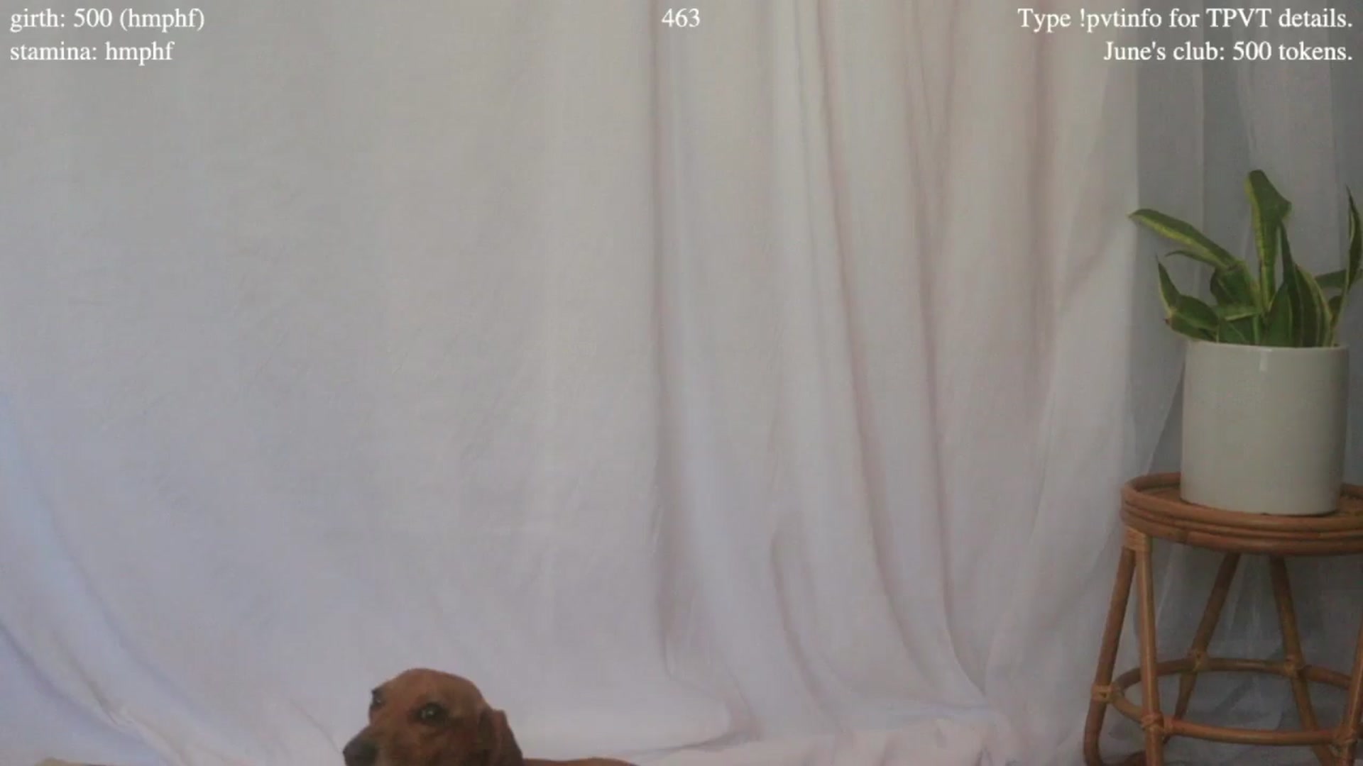 Gallery image thumbnail from coletteclaude's myfreecams stream on, 06/19/2025, 19:14 image 6 of 20