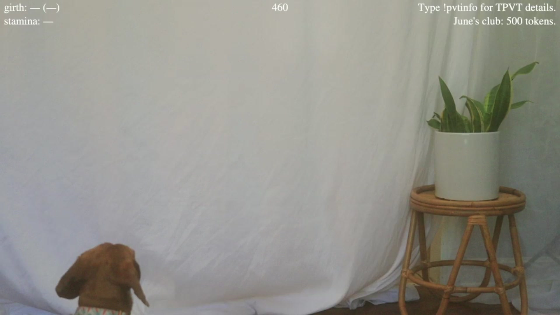 Gallery image thumbnail from coletteclaude's myfreecams stream on, 06/23/2025, 17:44 image 4 of 20