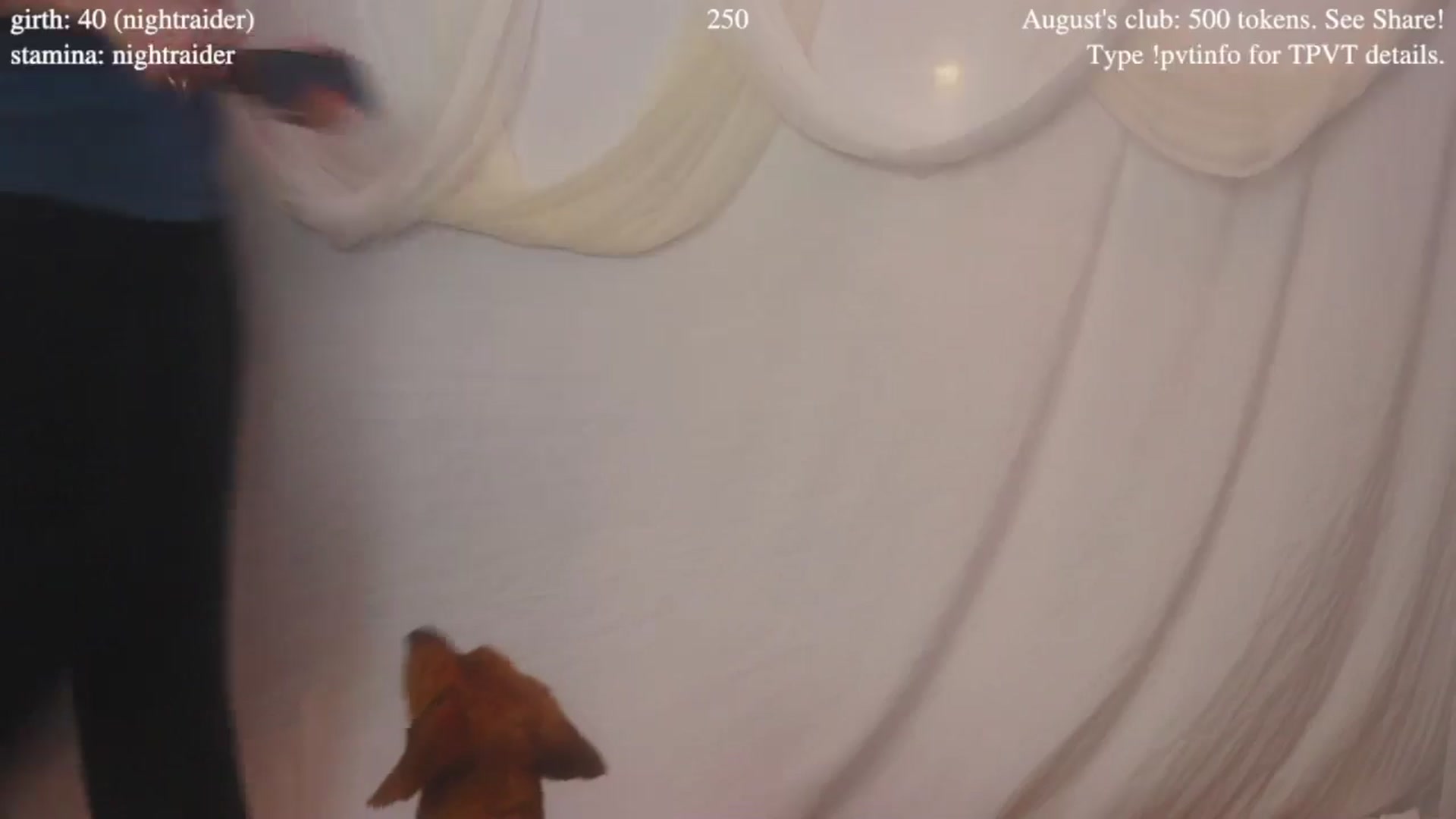Gallery image thumbnail from coletteclaude's myfreecams stream on, 08/13/2025, 21:00 image 4 of 20