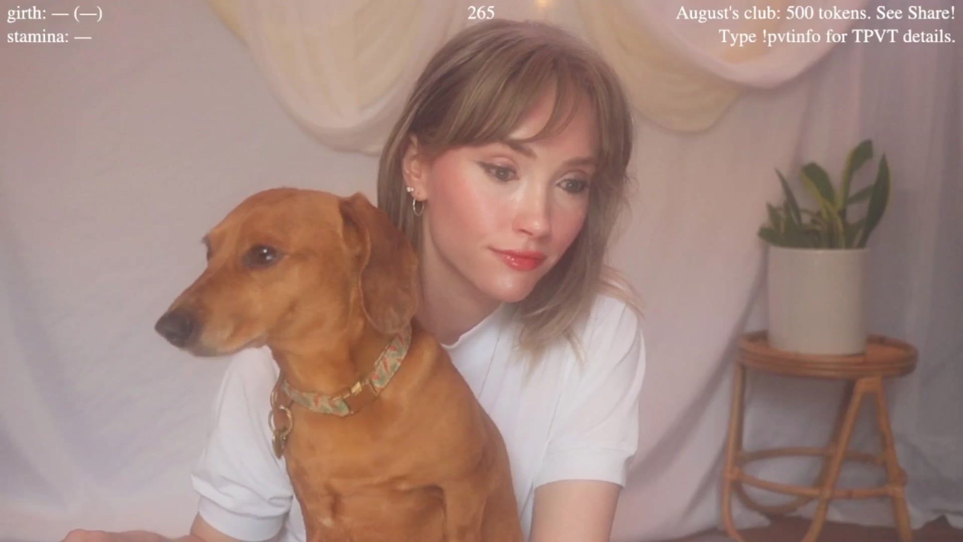 Gallery image thumbnail from coletteclaude's myfreecams stream on, 08/21/2025, 20:15 image 2 of 20