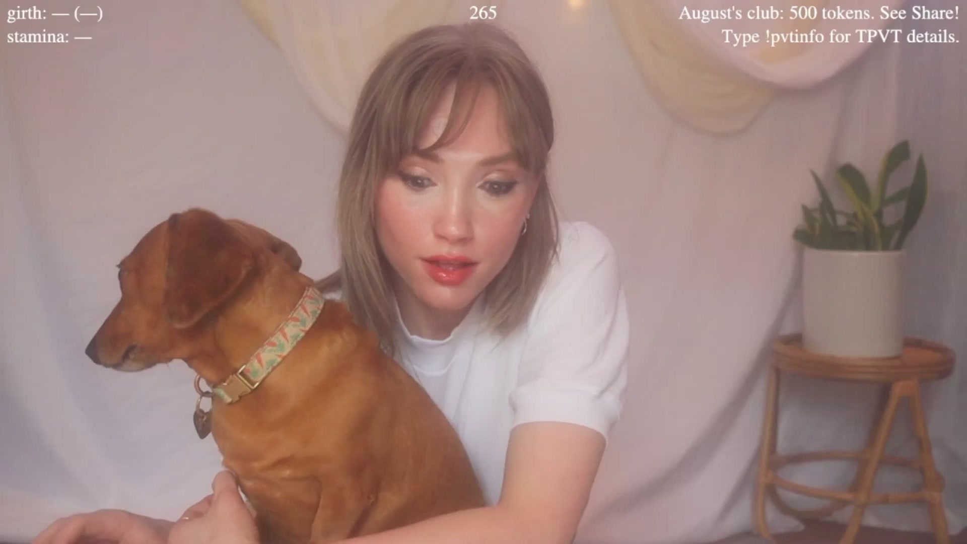 Gallery image thumbnail from coletteclaude's myfreecams stream on, 08/21/2025, 20:15 image 1 of 20