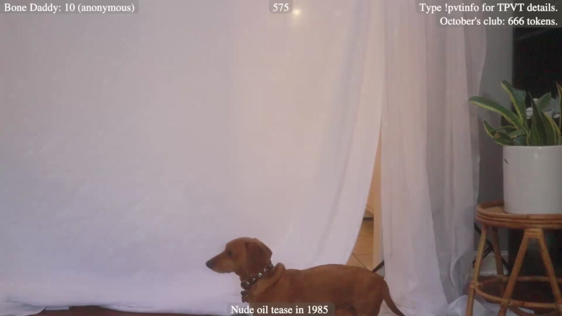Gallery image thumbnail from coletteclaude's myfreecams stream on, 10/17/2025, 20:45 image 1 of 20