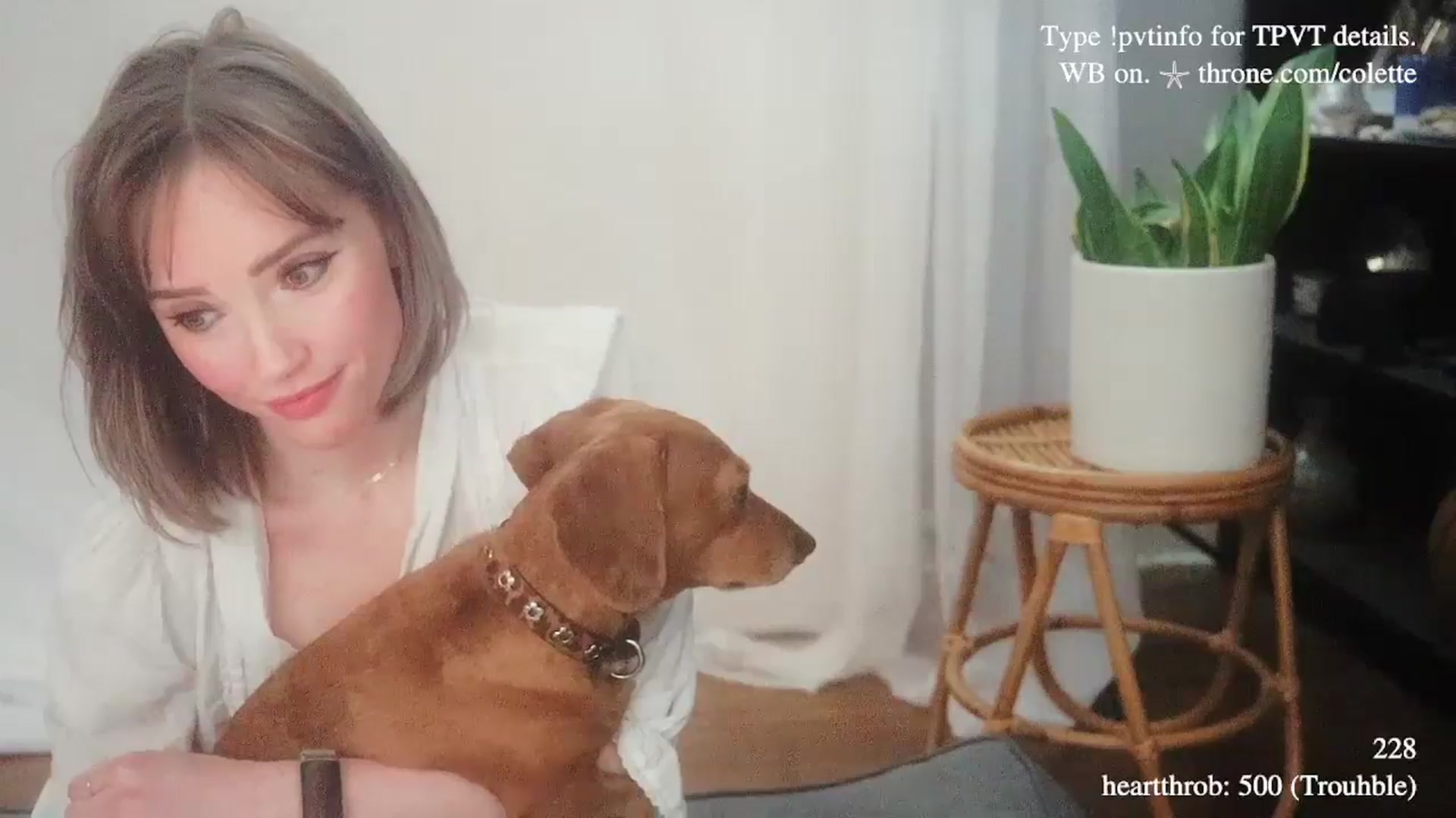 Gallery image thumbnail from coletteclaude's myfreecams stream on, 01/02/2026, 21:09 image 12 of 20