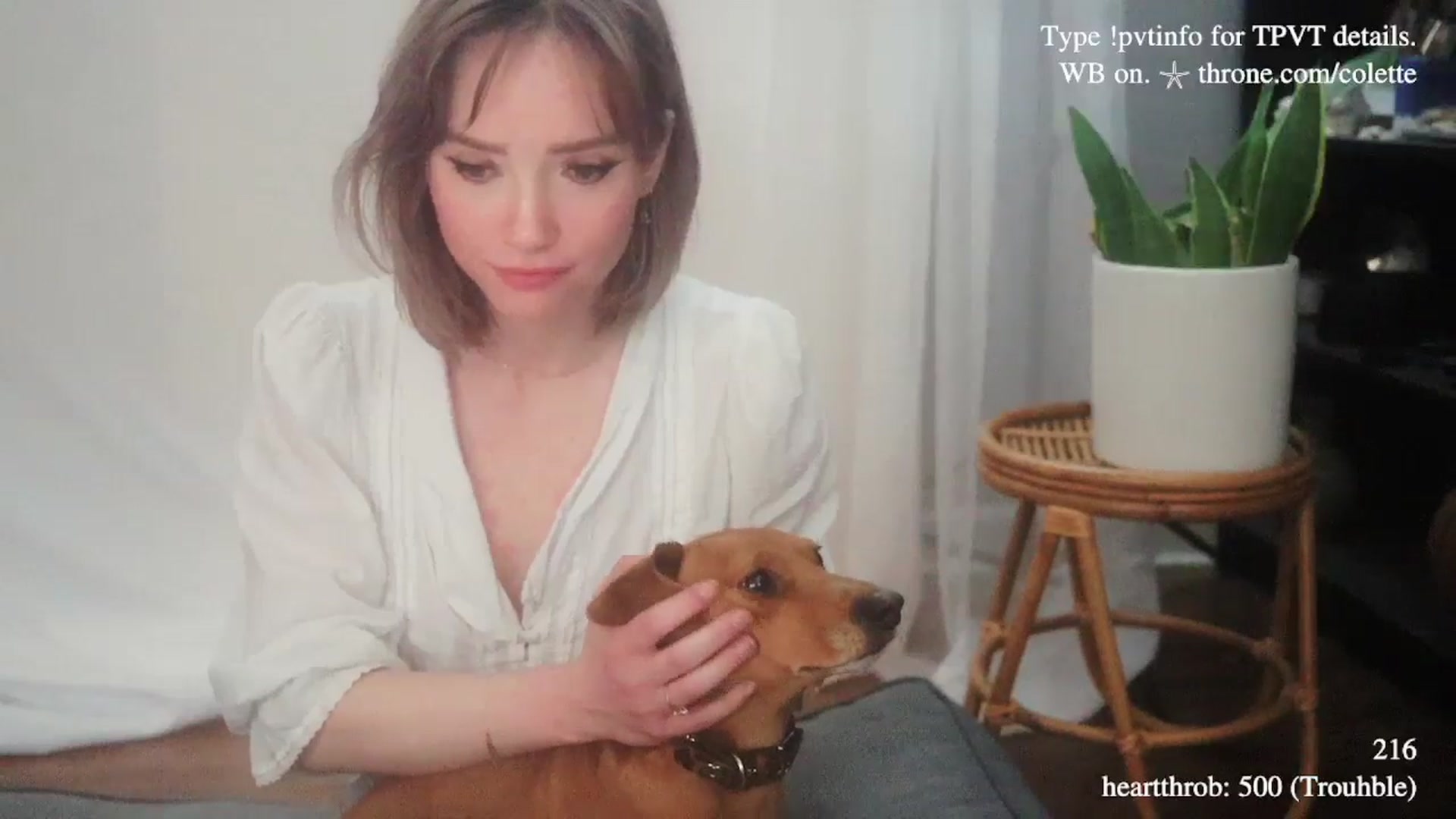Gallery image thumbnail from coletteclaude's myfreecams stream on, 01/02/2026, 21:09 image 15 of 20