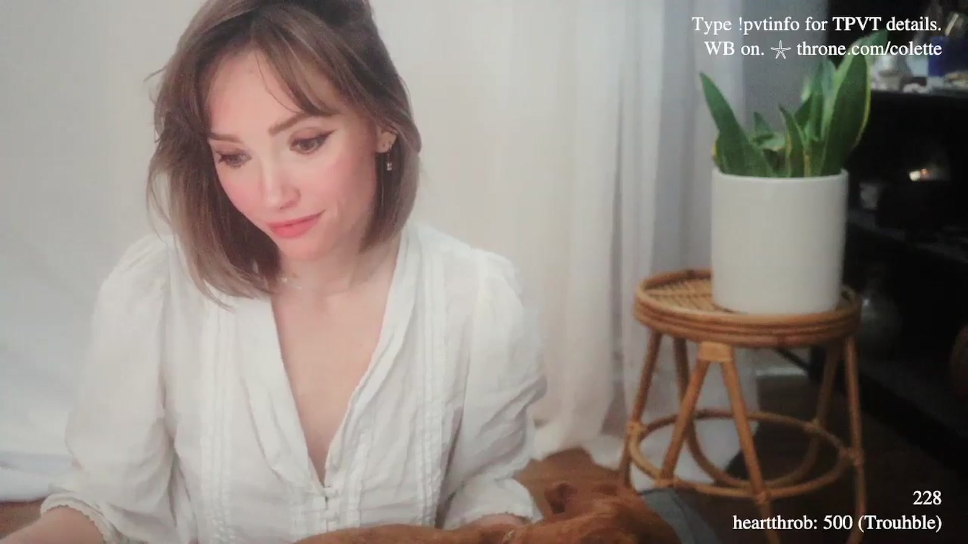 Gallery image thumbnail from coletteclaude's myfreecams stream on, 01/02/2026, 21:09 image 13 of 20