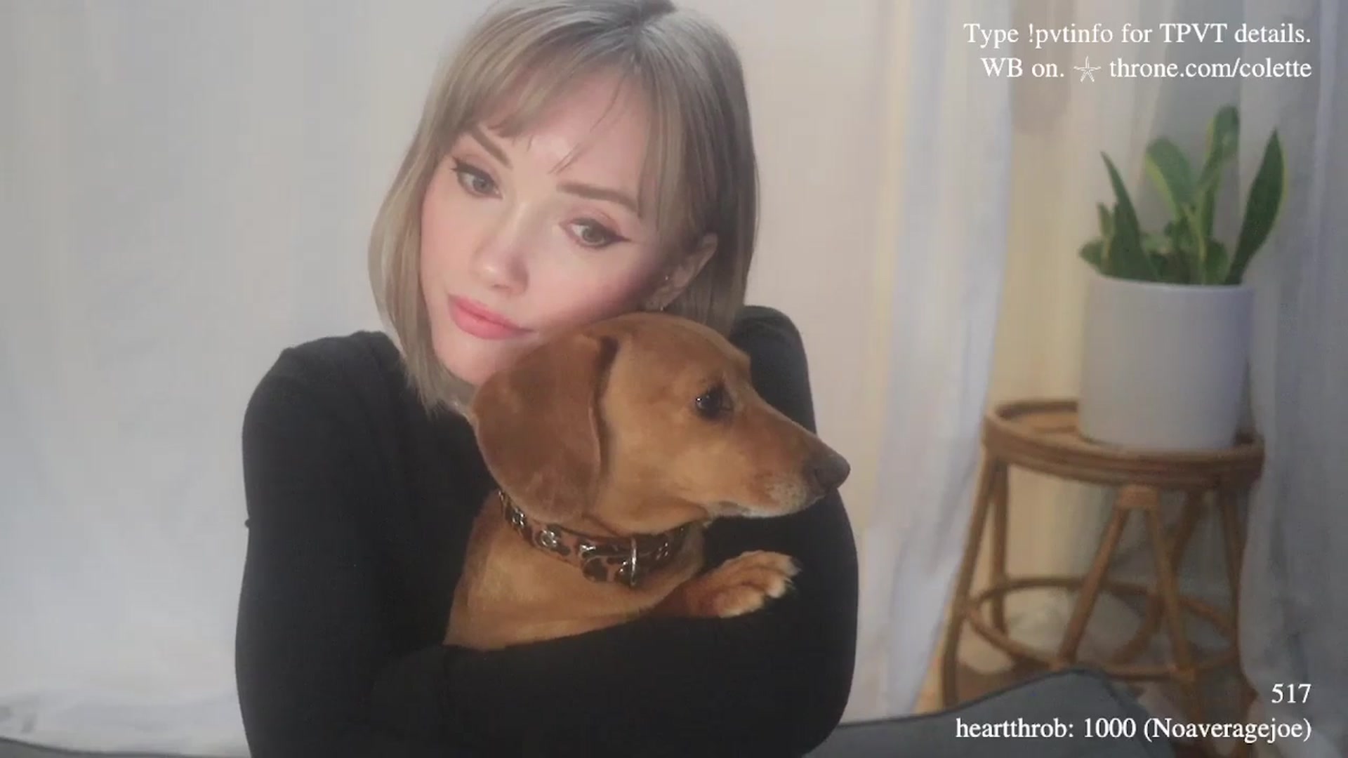 Gallery image thumbnail from coletteclaude's myfreecams stream on, 01/05/2026, 20:46 image 17 of 20