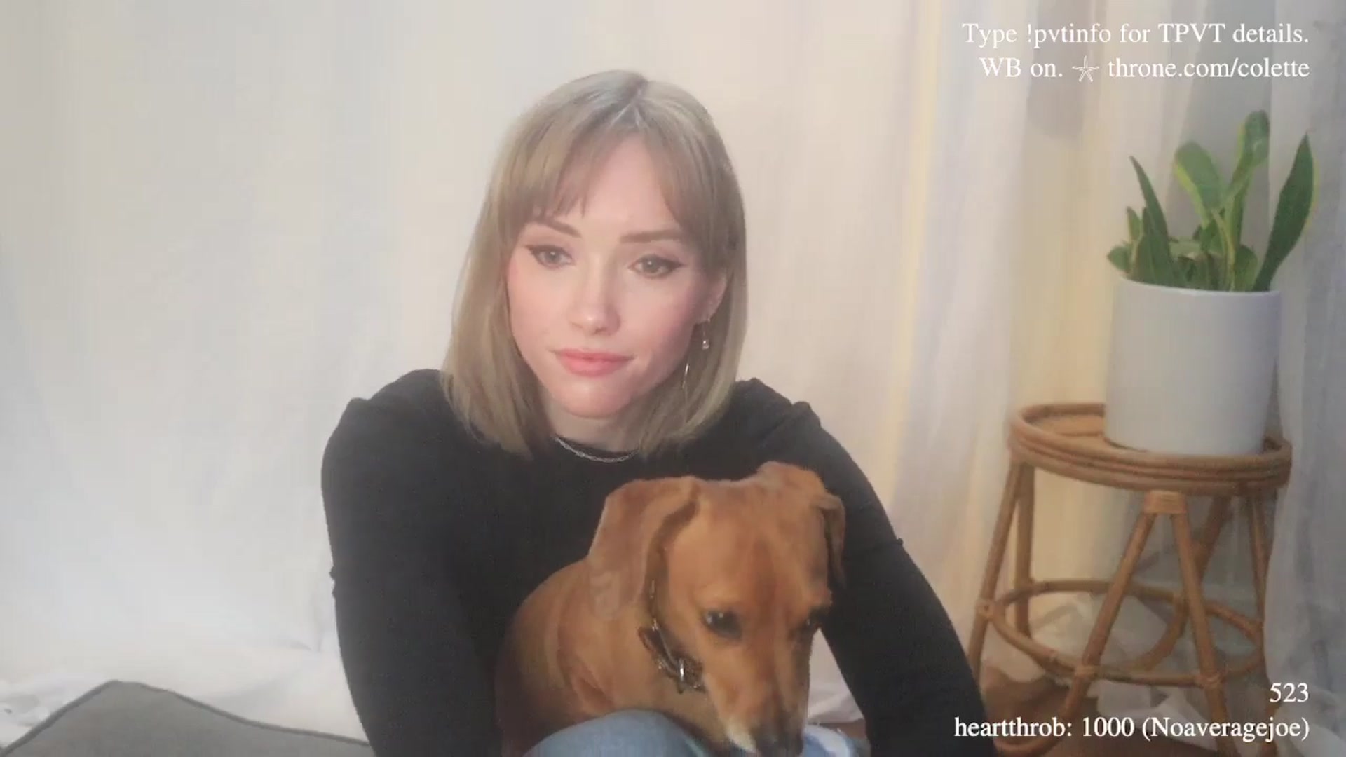 Gallery image thumbnail from coletteclaude's myfreecams stream on, 01/05/2026, 20:46 image 12 of 20