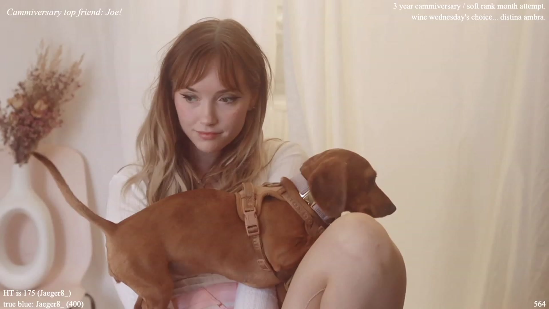 Gallery image thumbnail from colettedujour's myfreecams stream on, 11/16/2022, 20:21 image 8 of 20