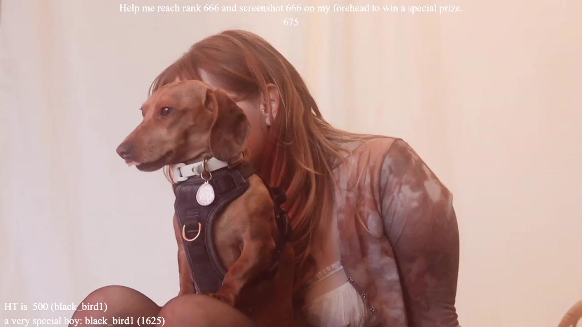 Gallery image thumbnail from colettedujour's myfreecams stream on, 01/27/2023, 20:19 image 16 of 20