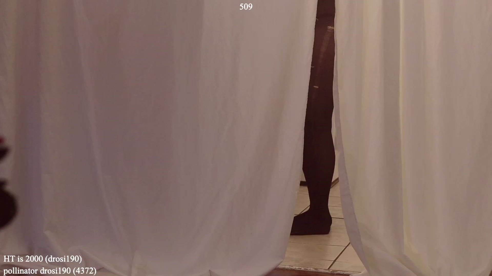 Gallery image thumbnail from colettedujour's myfreecams stream on, 04/07/2023, 23:17 image 17 of 20